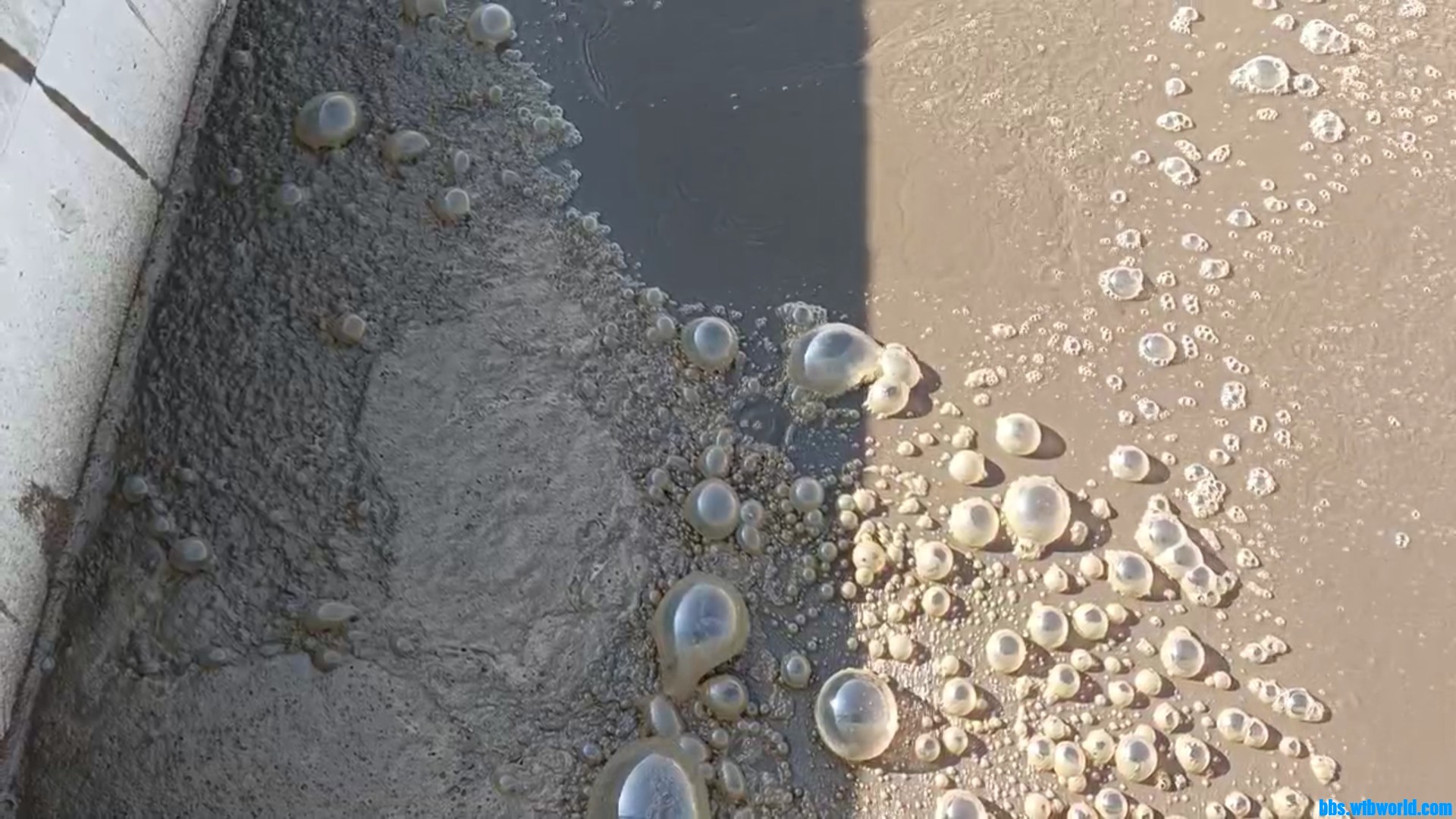 wechat_upload164232542961e3e5b59e6d8