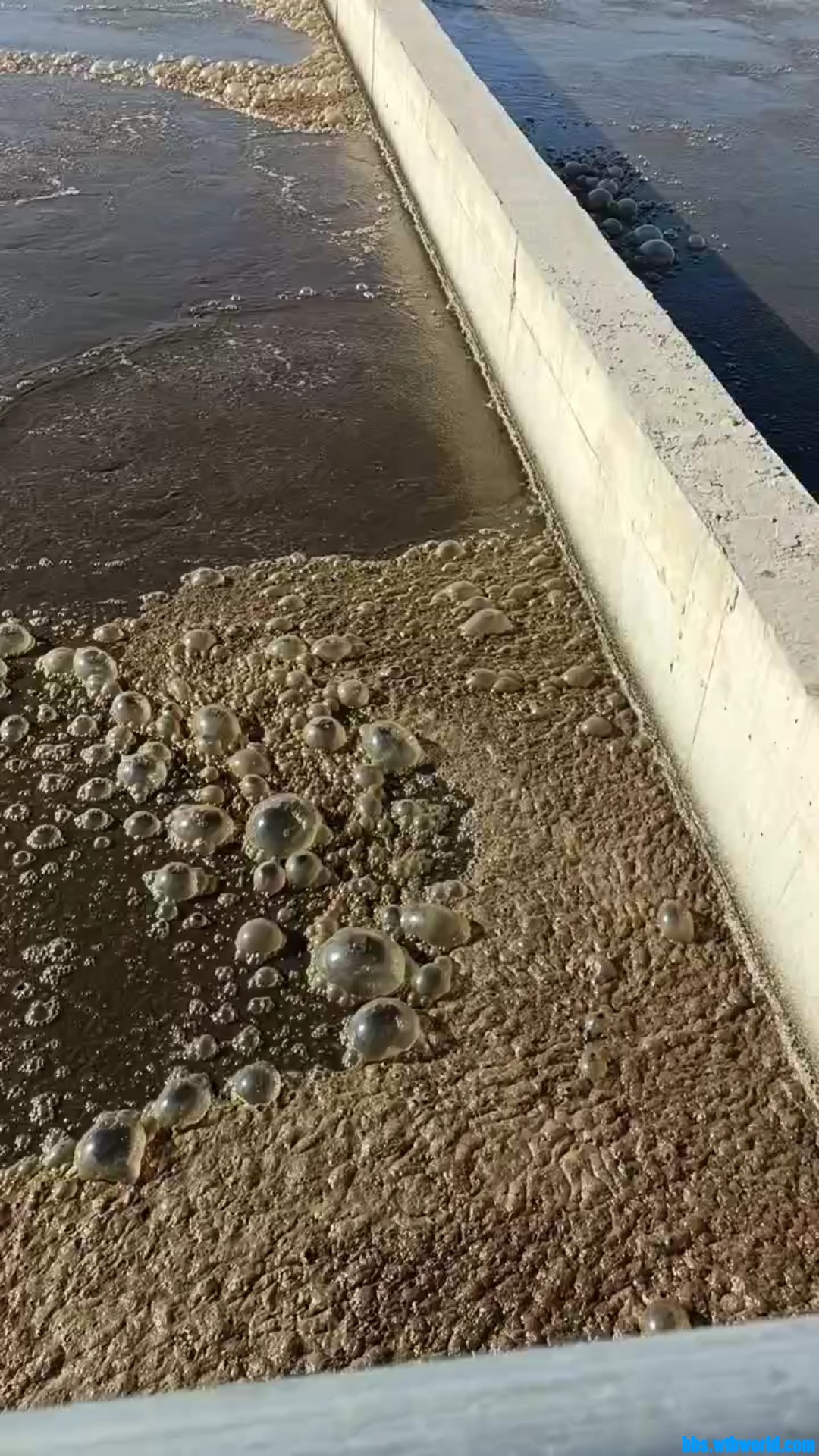 wechat_upload164232543061e3e5b634c2f