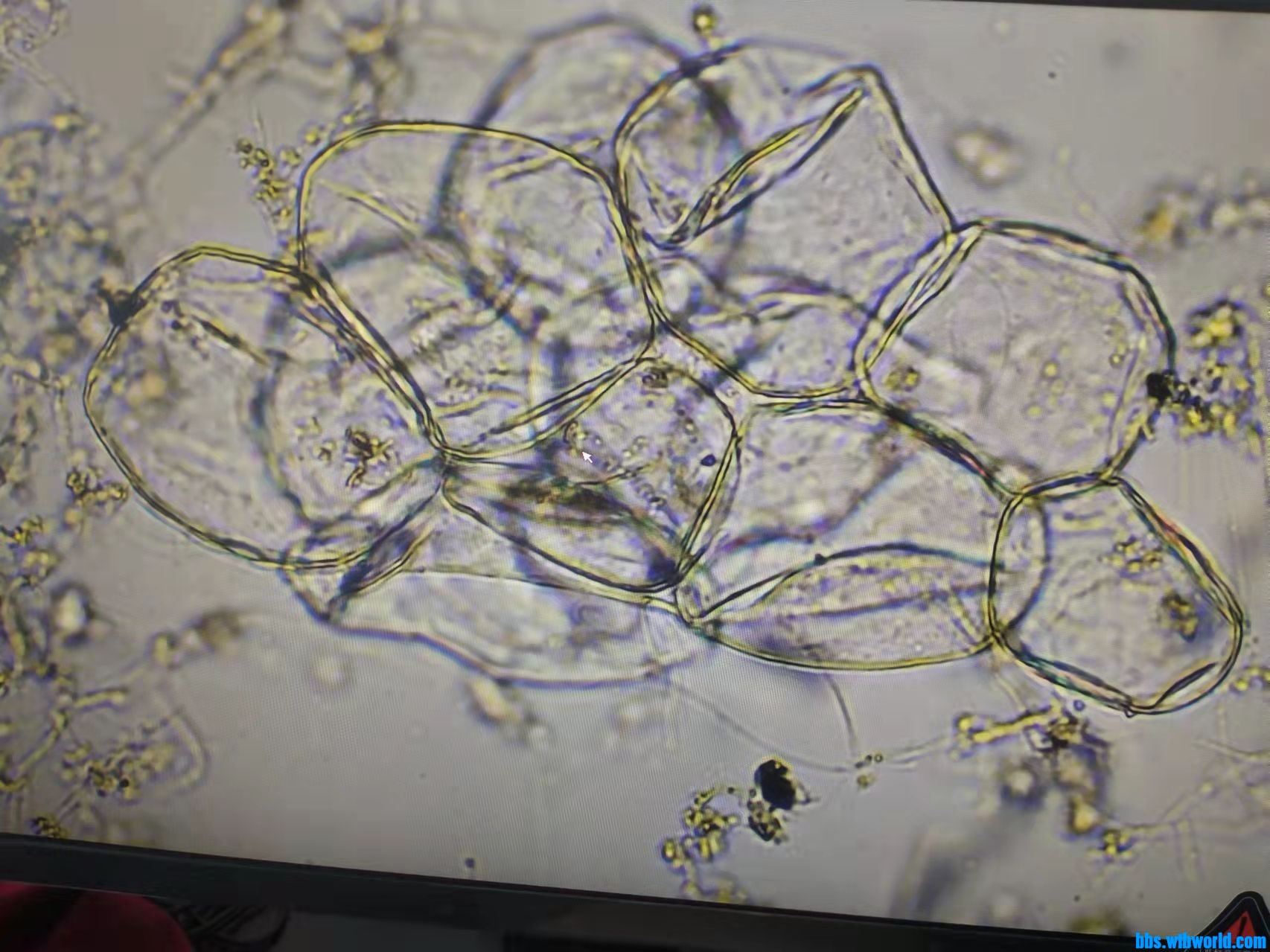 wechat_upload164238882761e4dd5b47ede