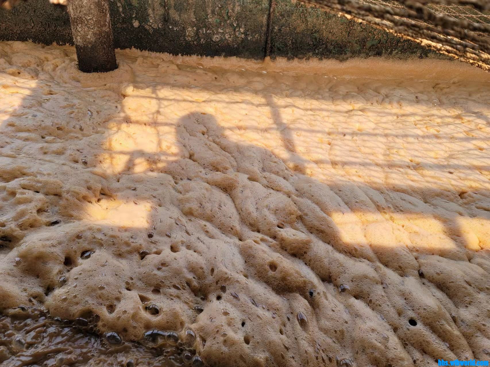 wechat_upload164299277361ee1485be499