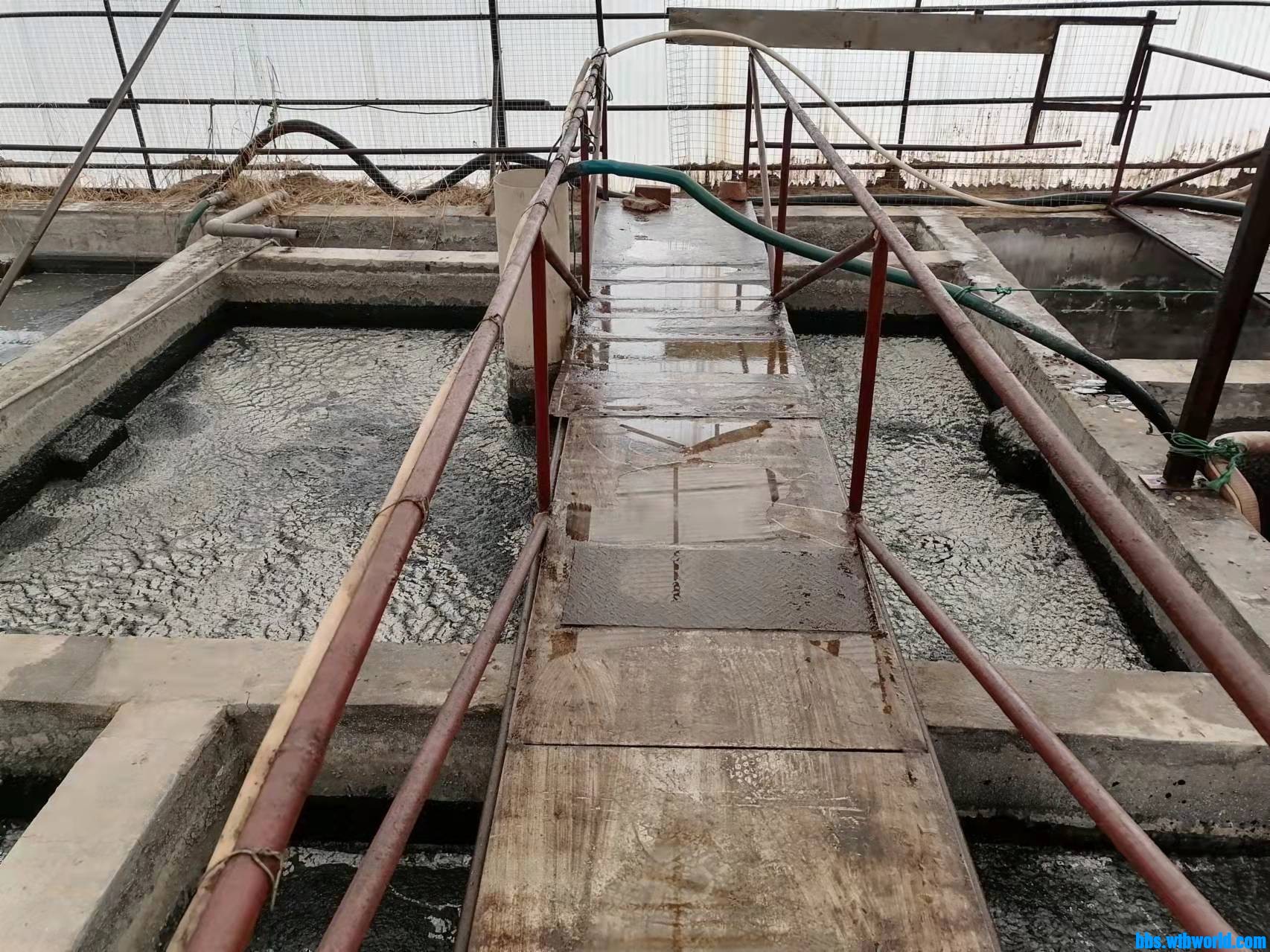 wechat_upload164301216861ee604838700