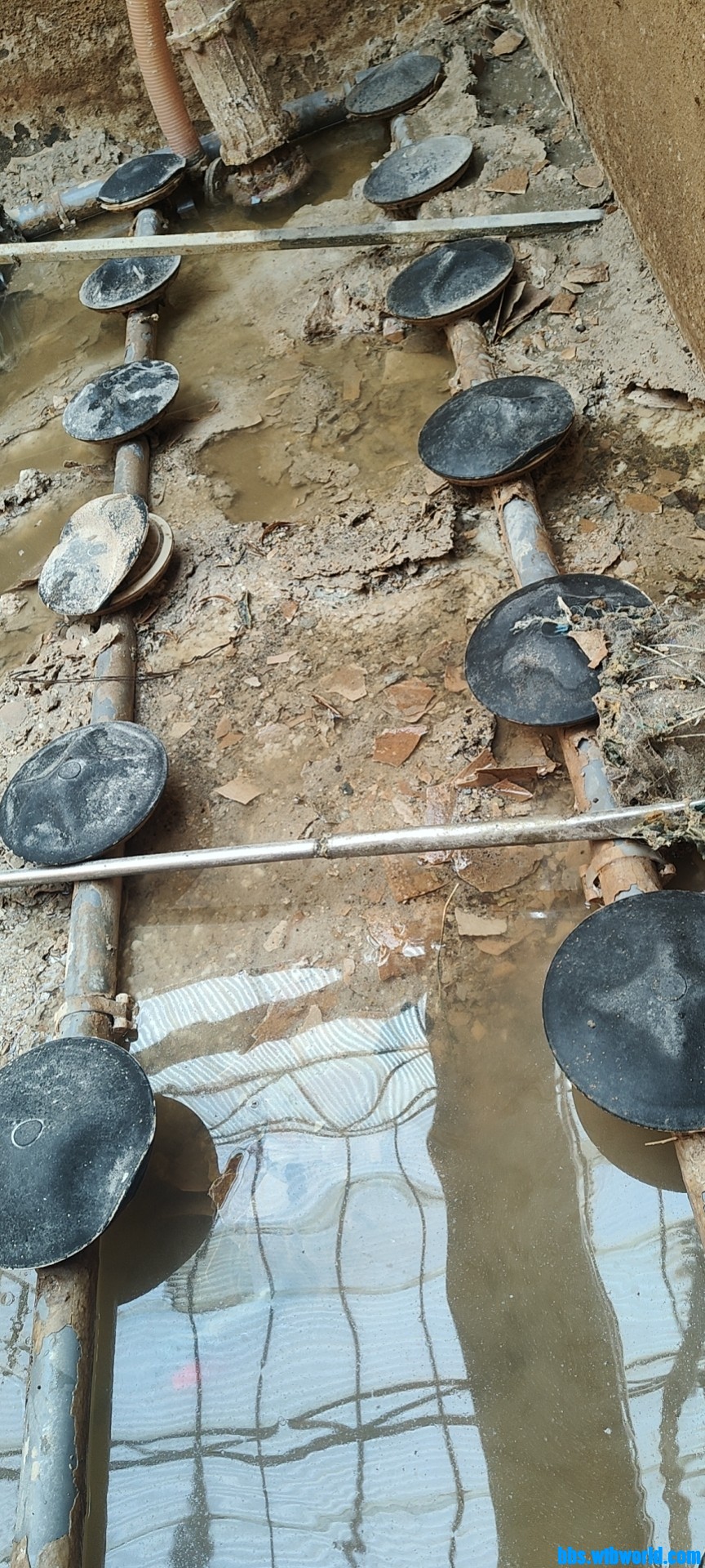 wechat_upload164301221161ee6073d0a89