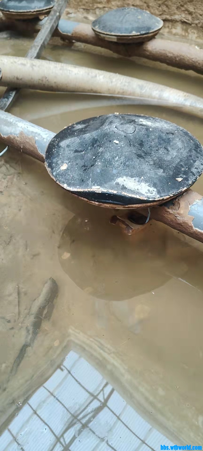 wechat_upload164301221261ee60743d822