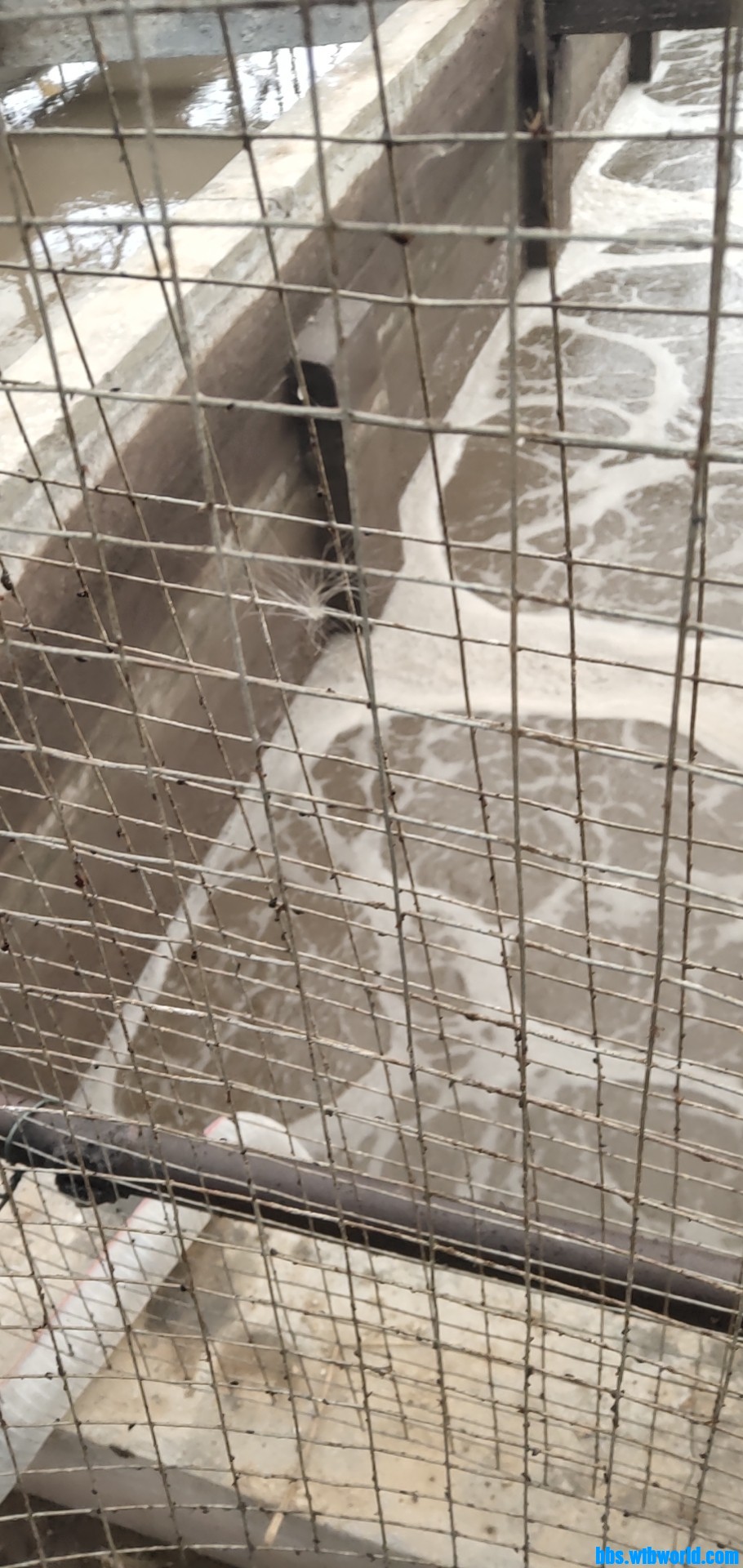 wechat_upload164301224061ee6090c32b0