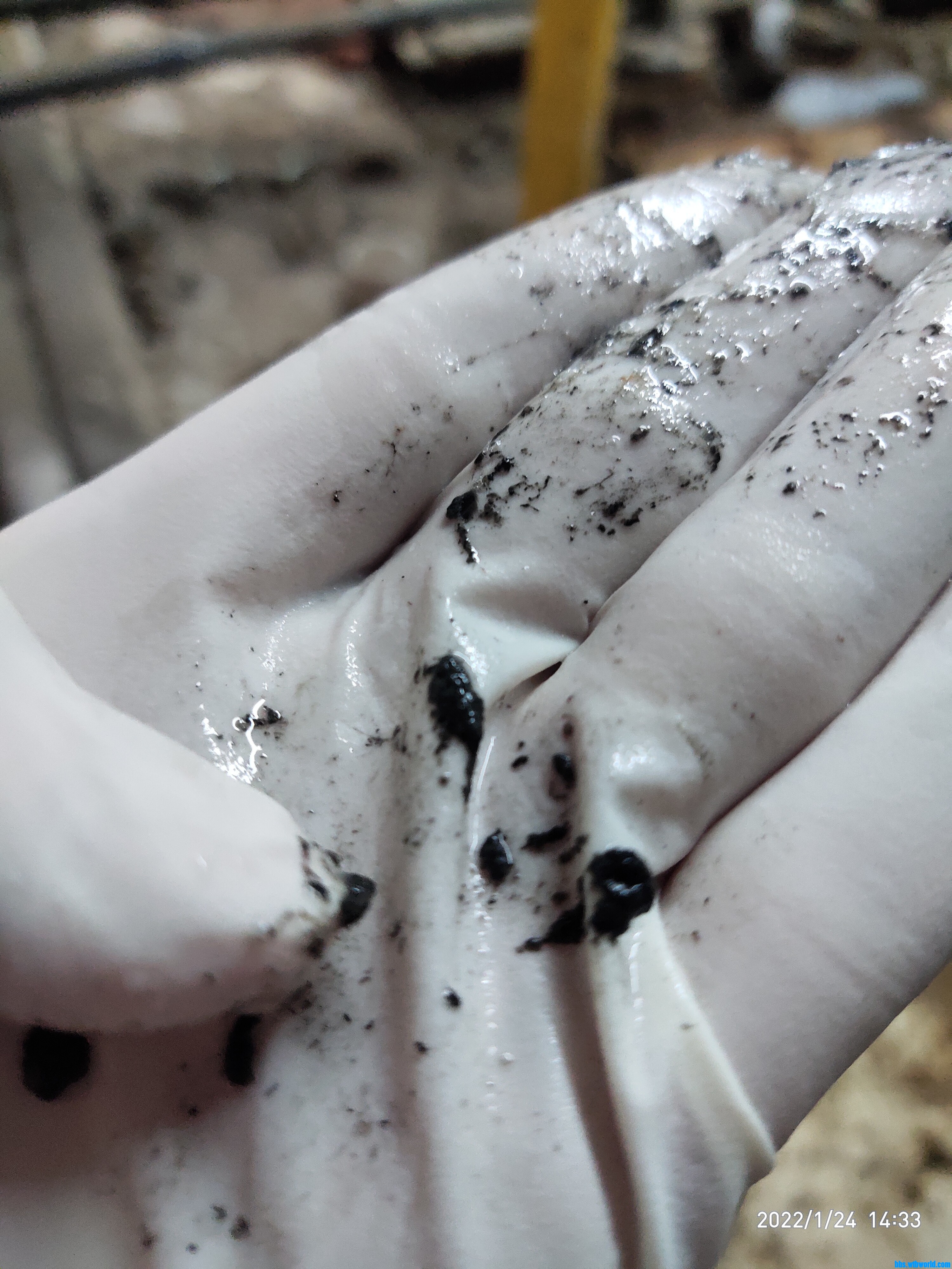 wechat_upload164302683861ee9996cc11f