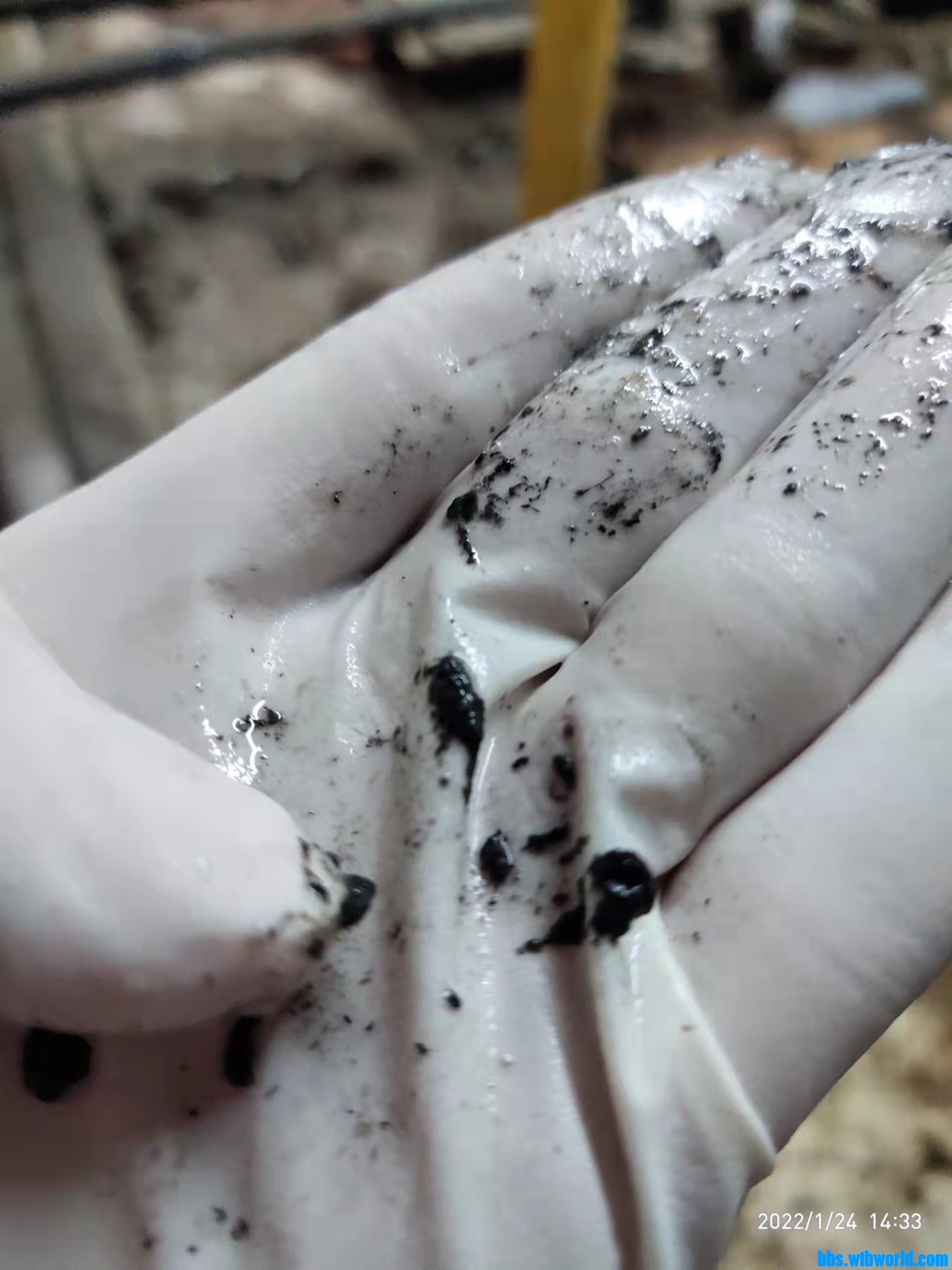 wechat_upload164302696261ee9a125d4bc