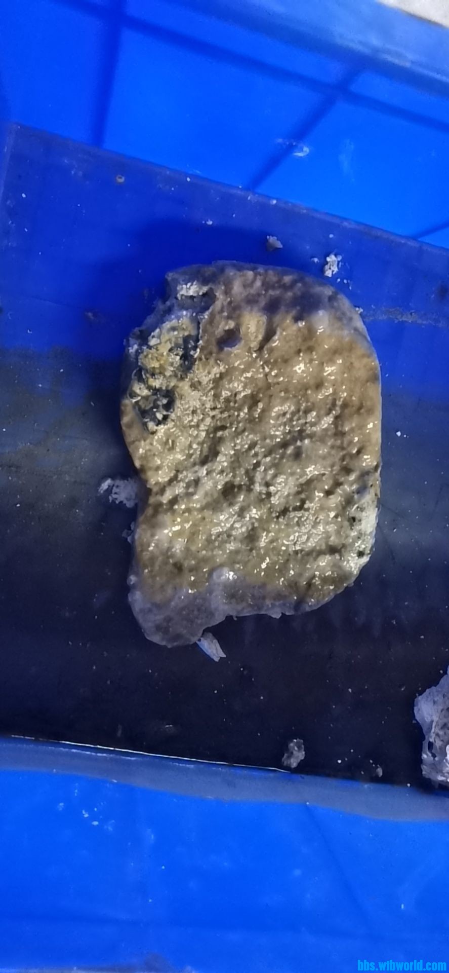 wechat_upload164302712161ee9ab1a15bf