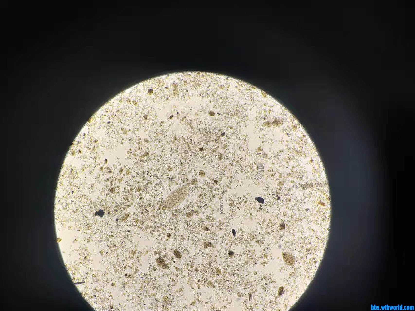 wechat_upload164368422861f8a184ae193