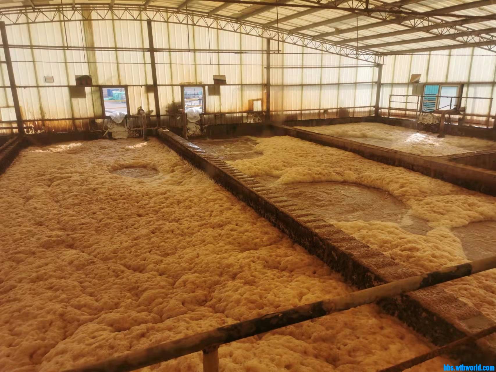 wechat_upload1644200688620082f0d7edc