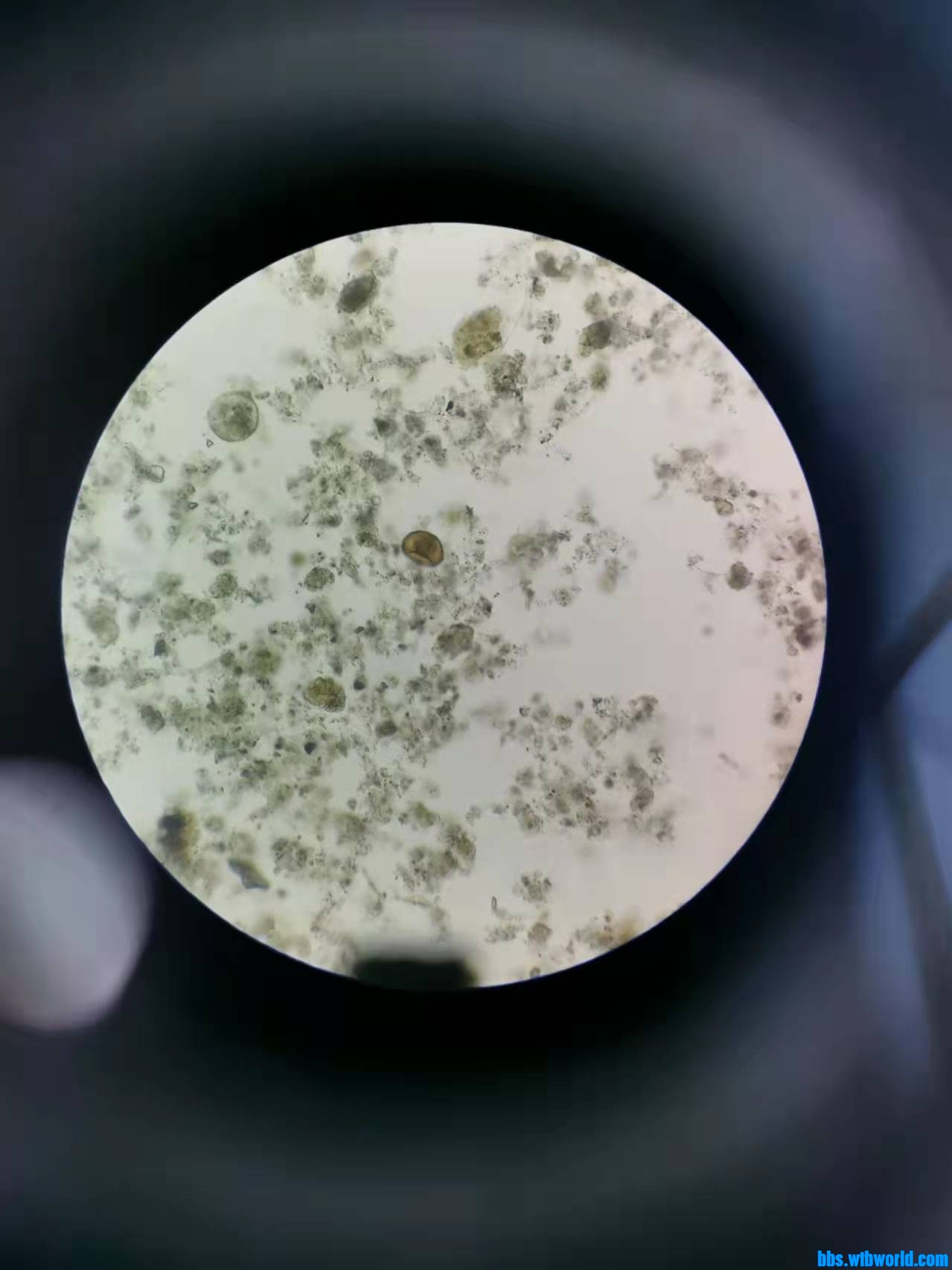 wechat_upload1644458445620471cd3dee6