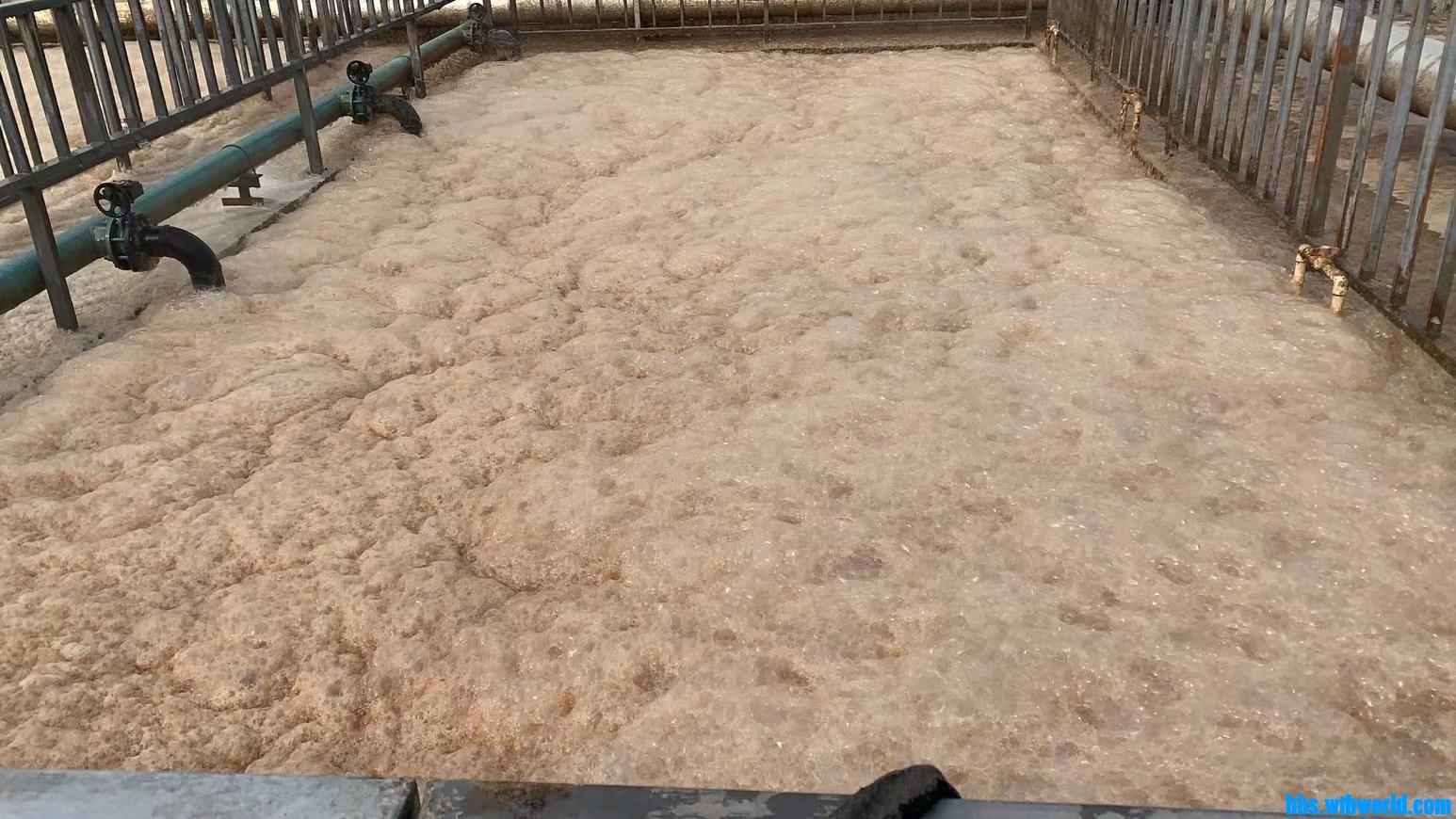 wechat_upload16448213356209fb57a3cf5