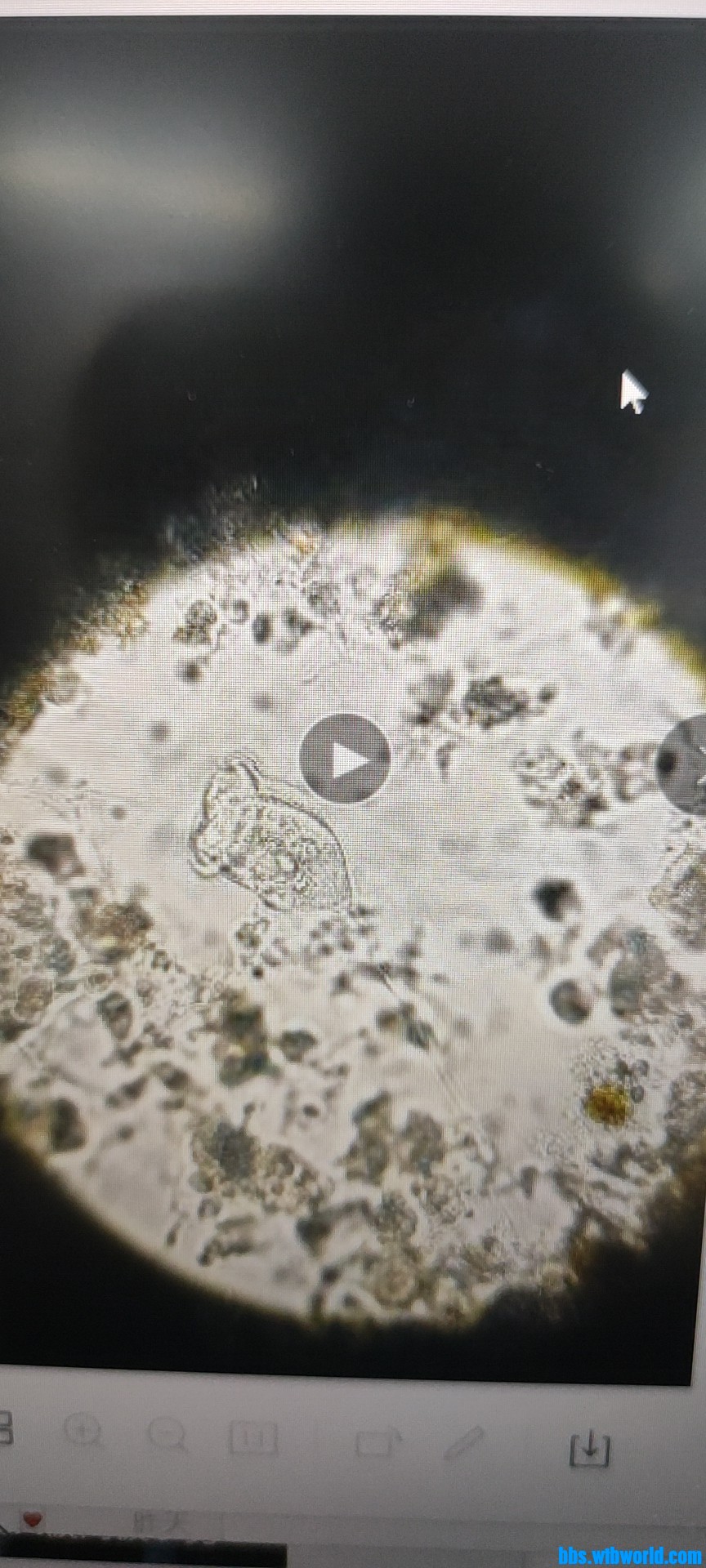 wechat_upload1644827379620a12f30d853