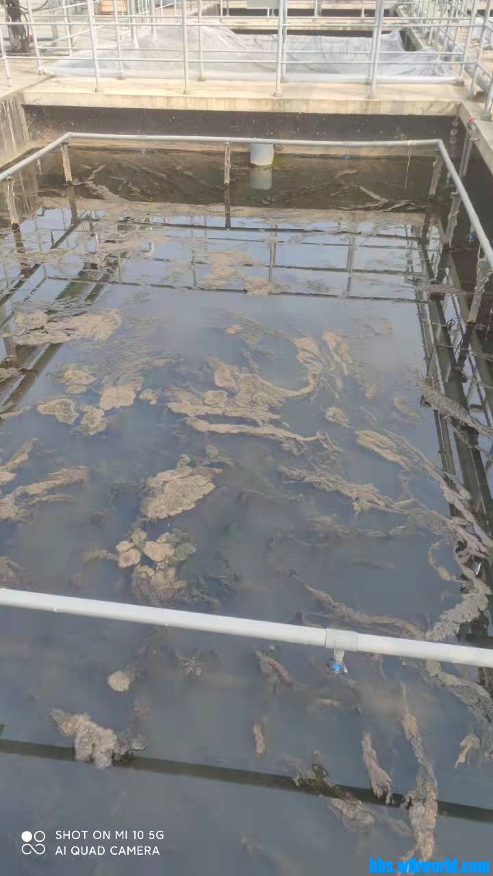 wechat_upload1644829531620a1b5b1e0a2