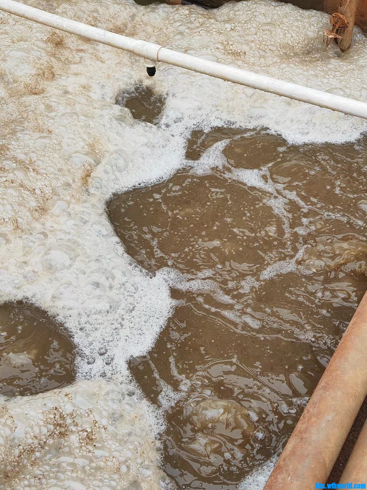 wechat_upload1644999957620cb515619cc