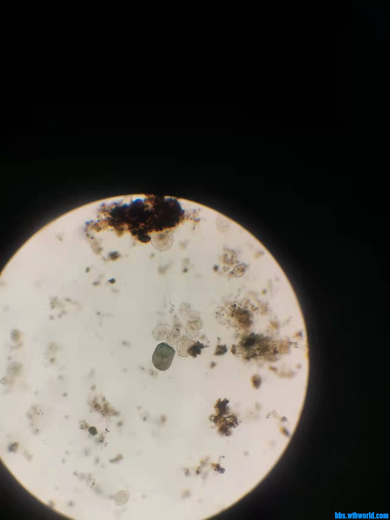 wechat_upload1645068747620dc1cb70b4e