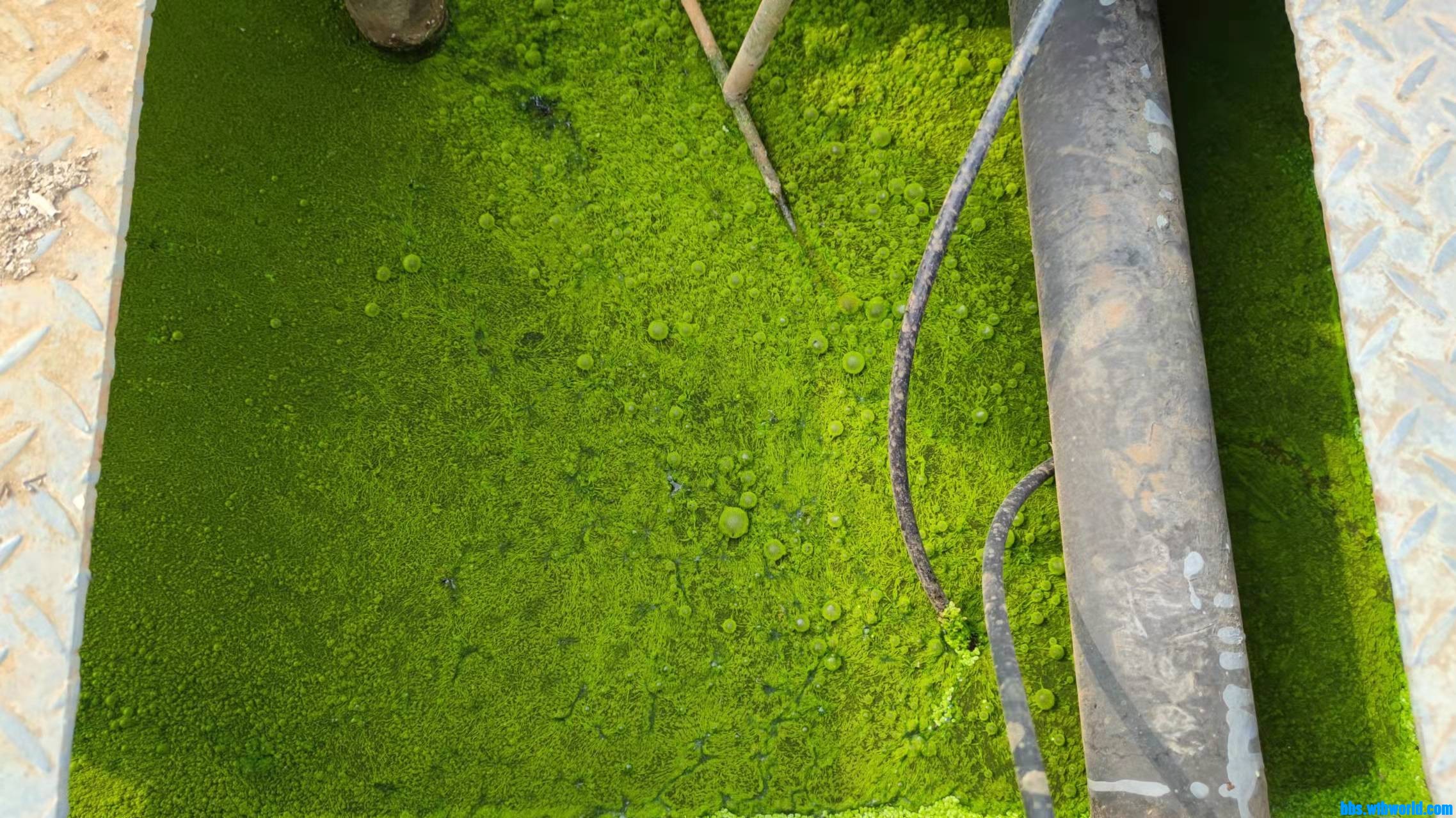 wechat_upload1645091318620e19f666846