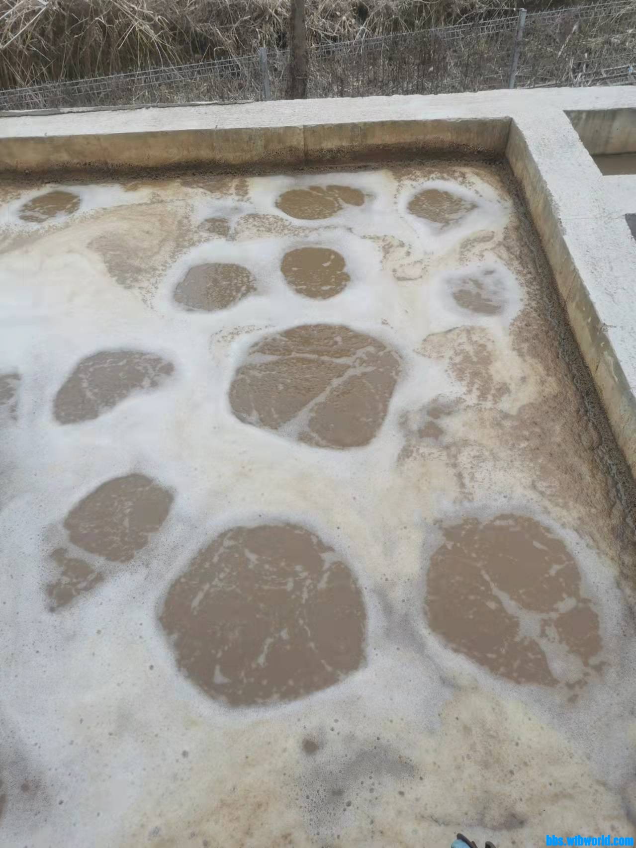 wechat_upload16452639706210bc6206629