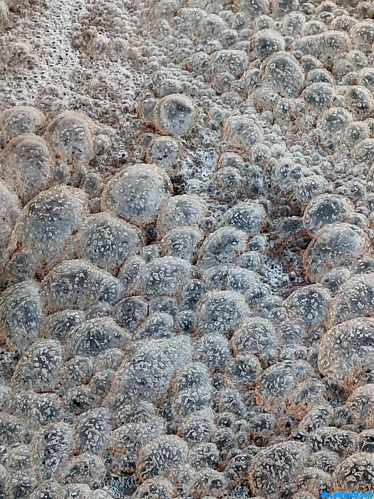 wechat_upload16453992676212cce37aaf1