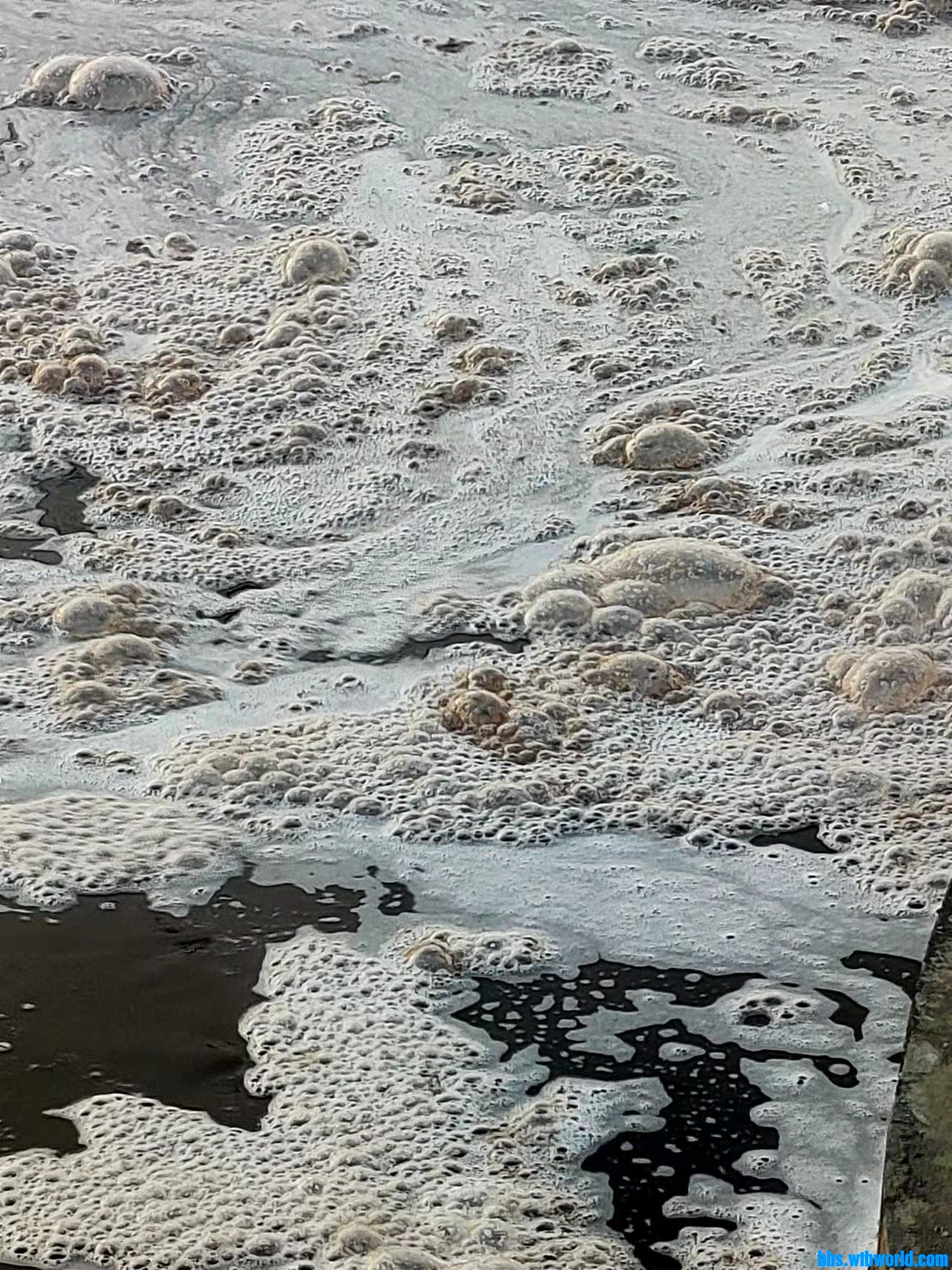 wechat_upload16453992686212cce4c7016