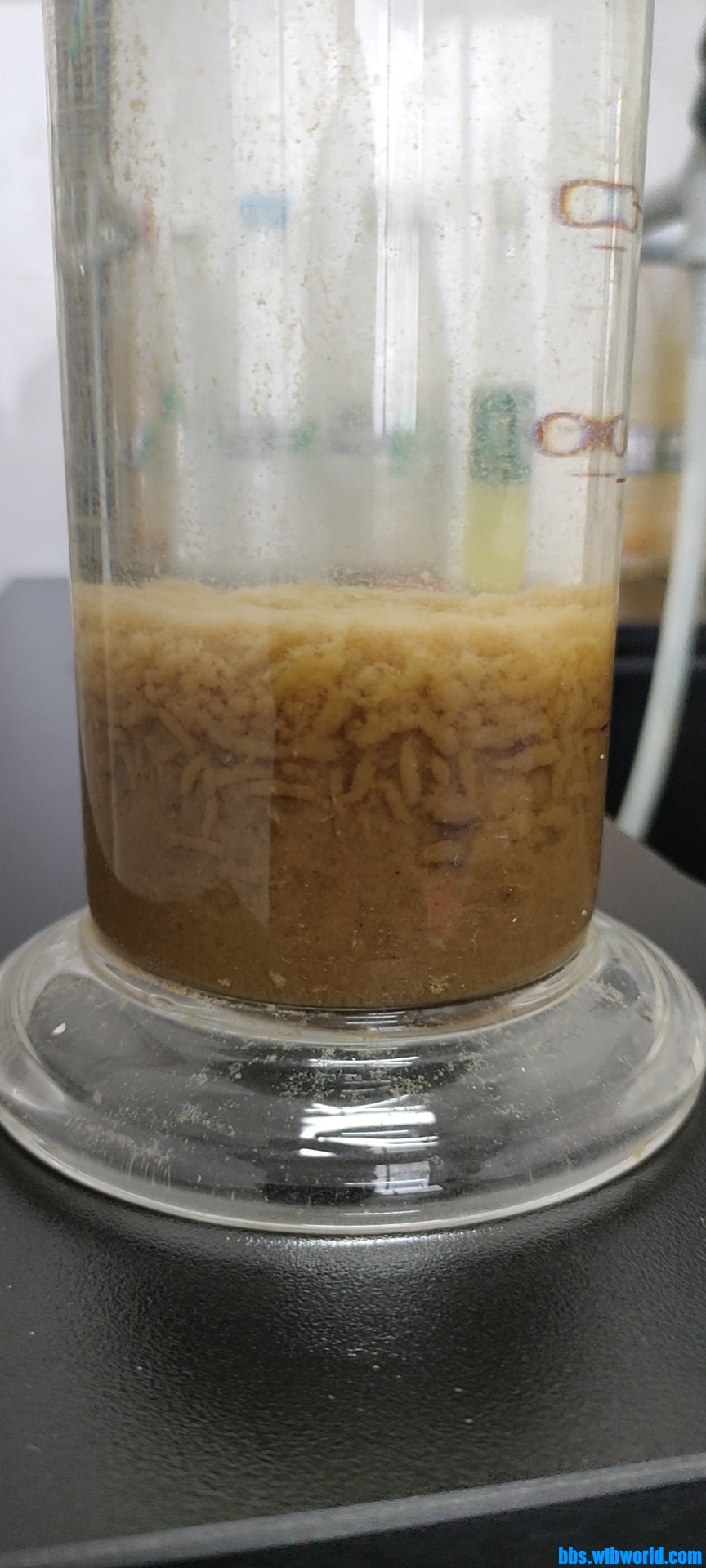 wechat_upload1645422333621326fd6b021