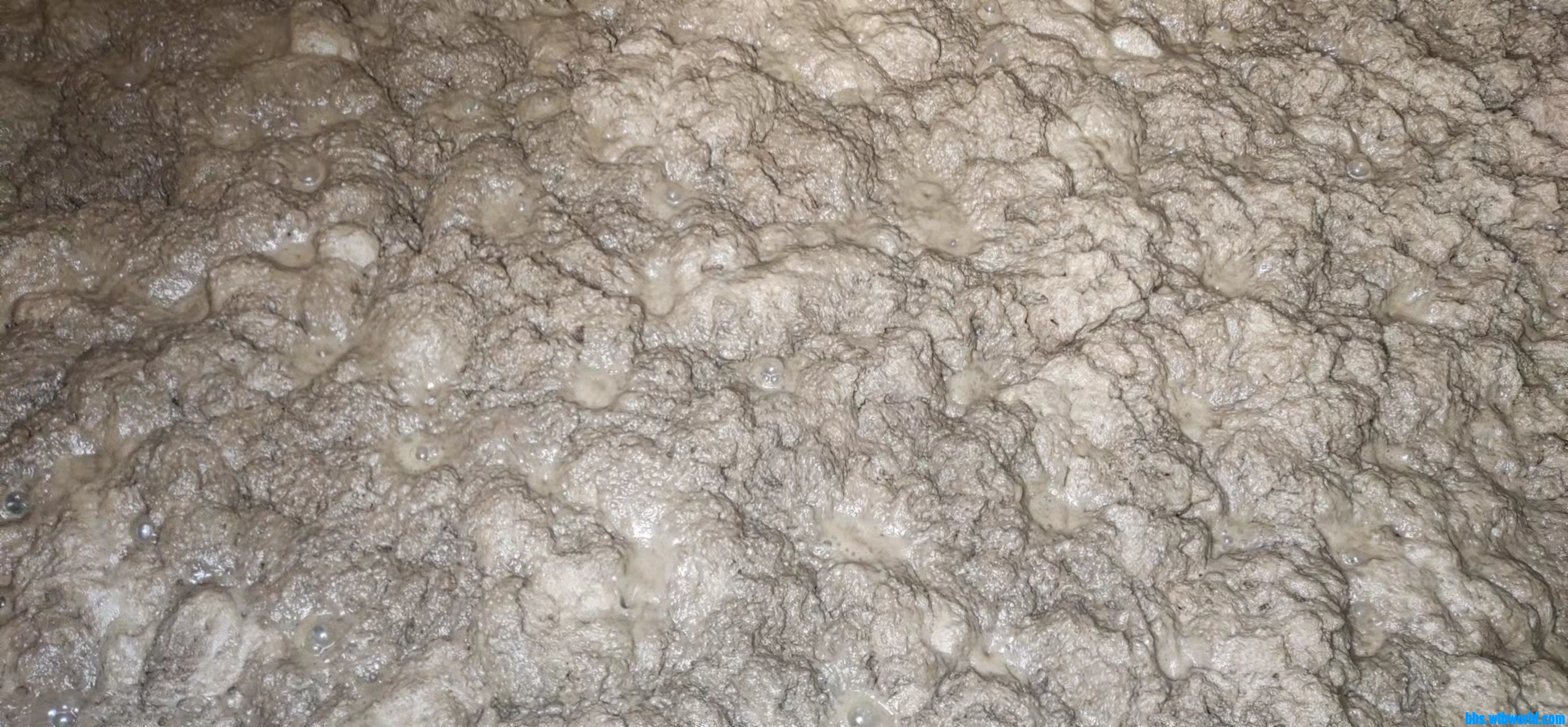 wechat_upload1645582021621596c5d90f5