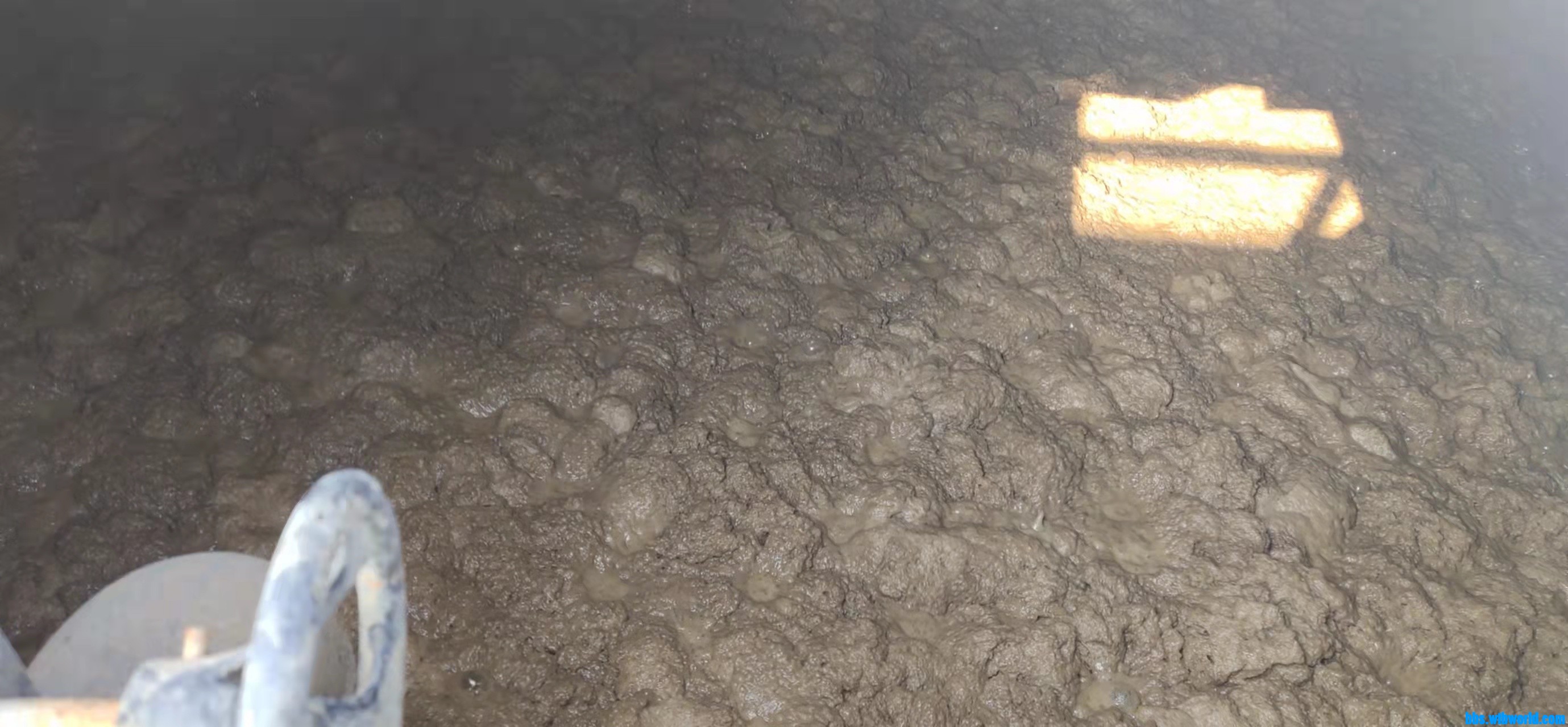 wechat_upload1645582022621596c6c9a36