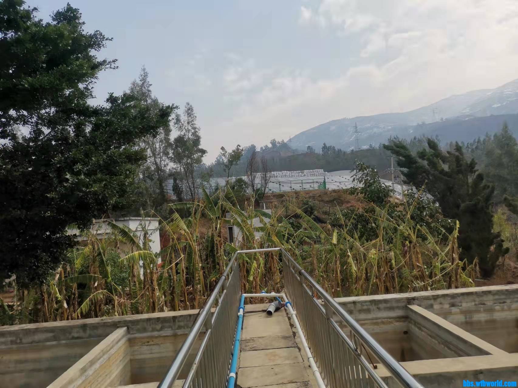 wechat_upload164570803962178307c7979