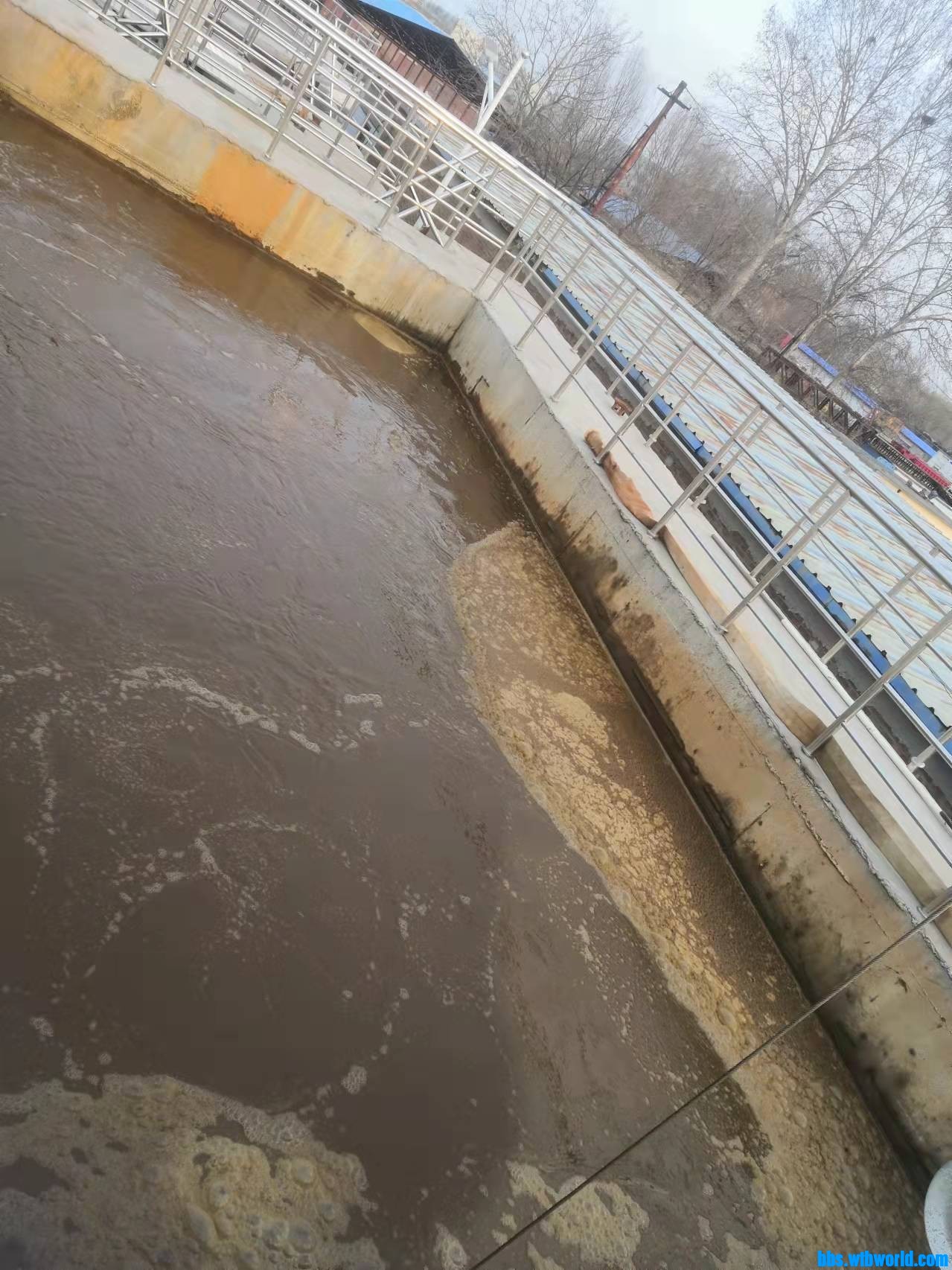 wechat_upload1645843415621993d7b59d6