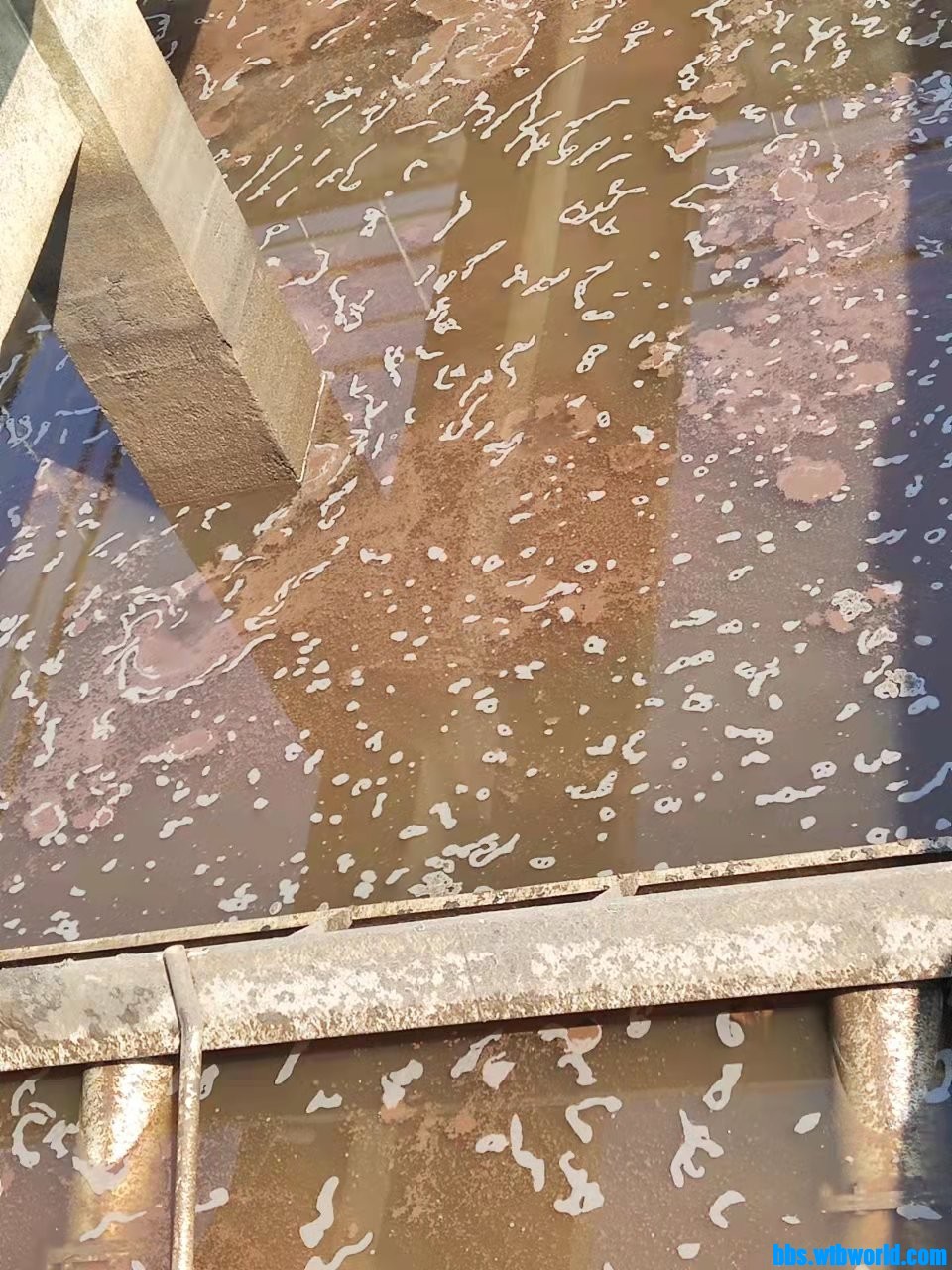 wechat_upload164584519662199acc0d66f