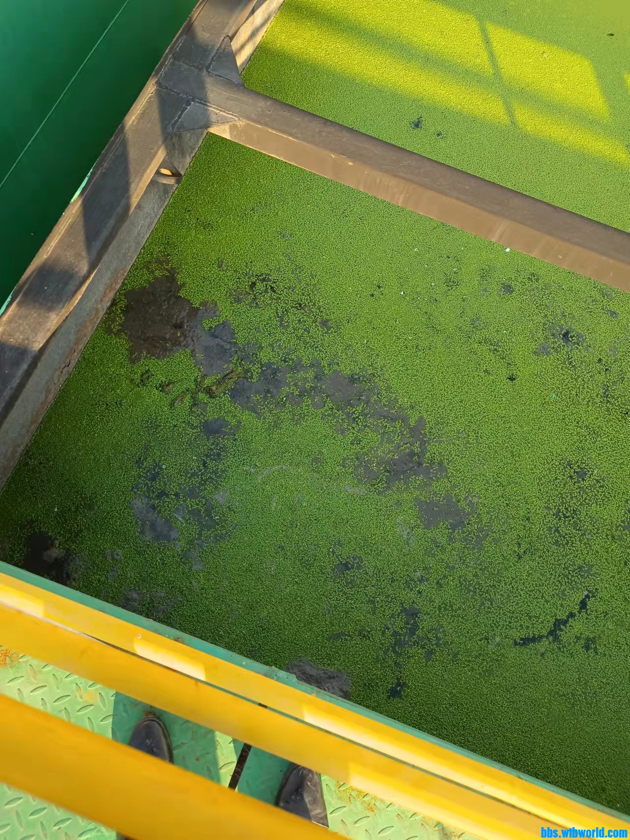 wechat_upload1645922850621aca229a9f7