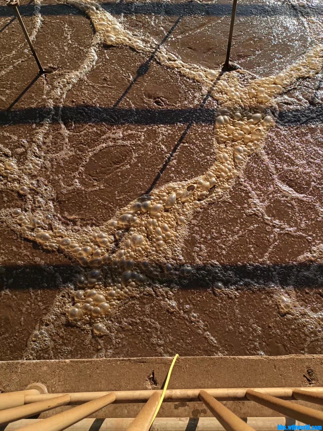 wechat_upload1645930765621ae90da35a5