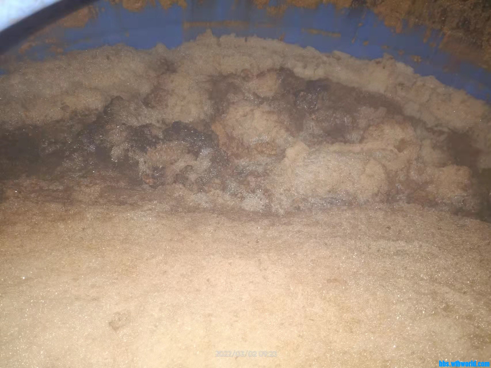 wechat_upload1646186764621ed10ce1a73