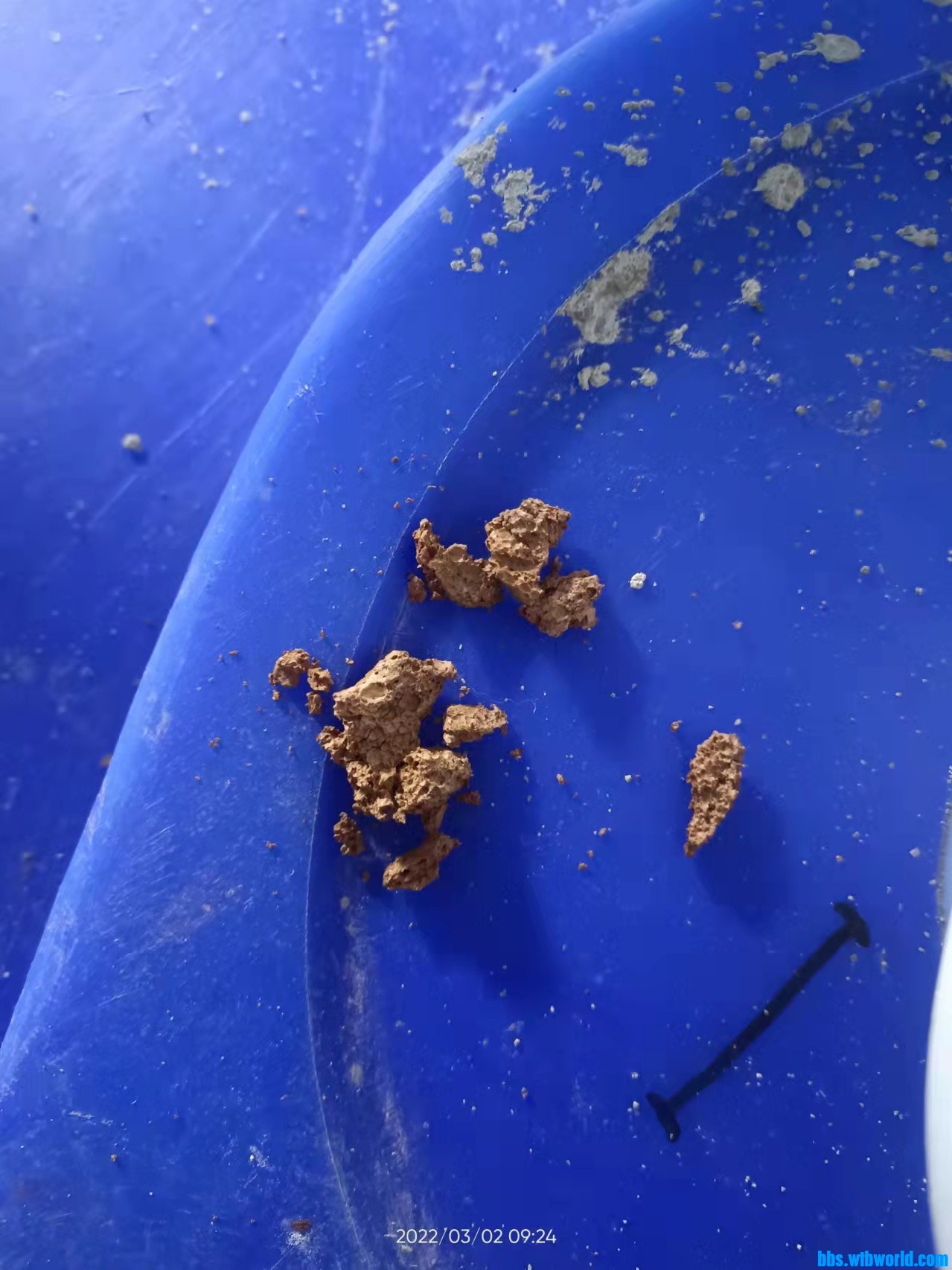 wechat_upload1646186765621ed10d537d6