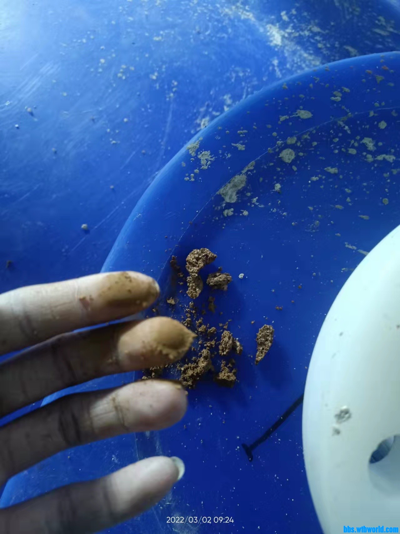 wechat_upload1646186765621ed10dad564