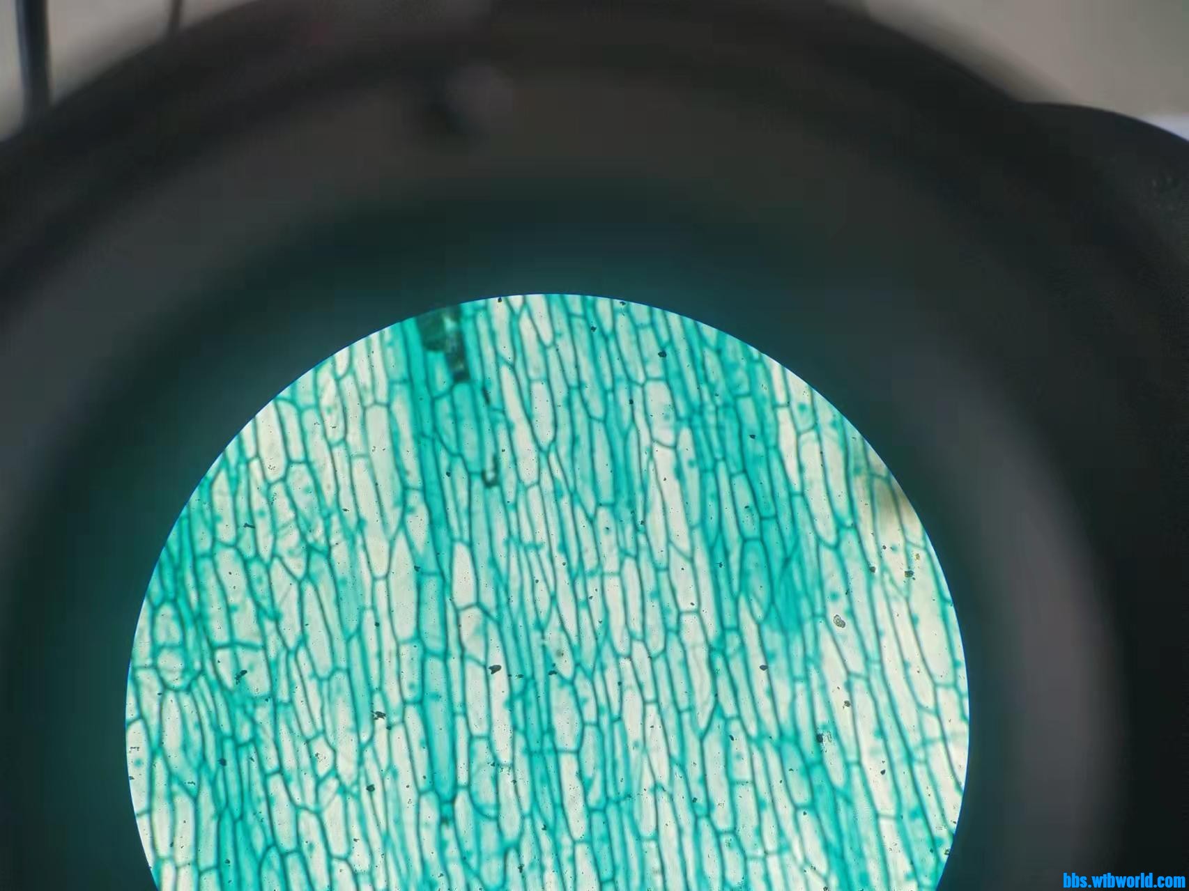 wechat_upload164635803862216e1640e8b