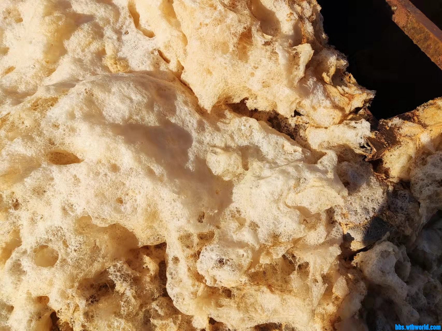 wechat_upload16465706216224ac7dcb6de