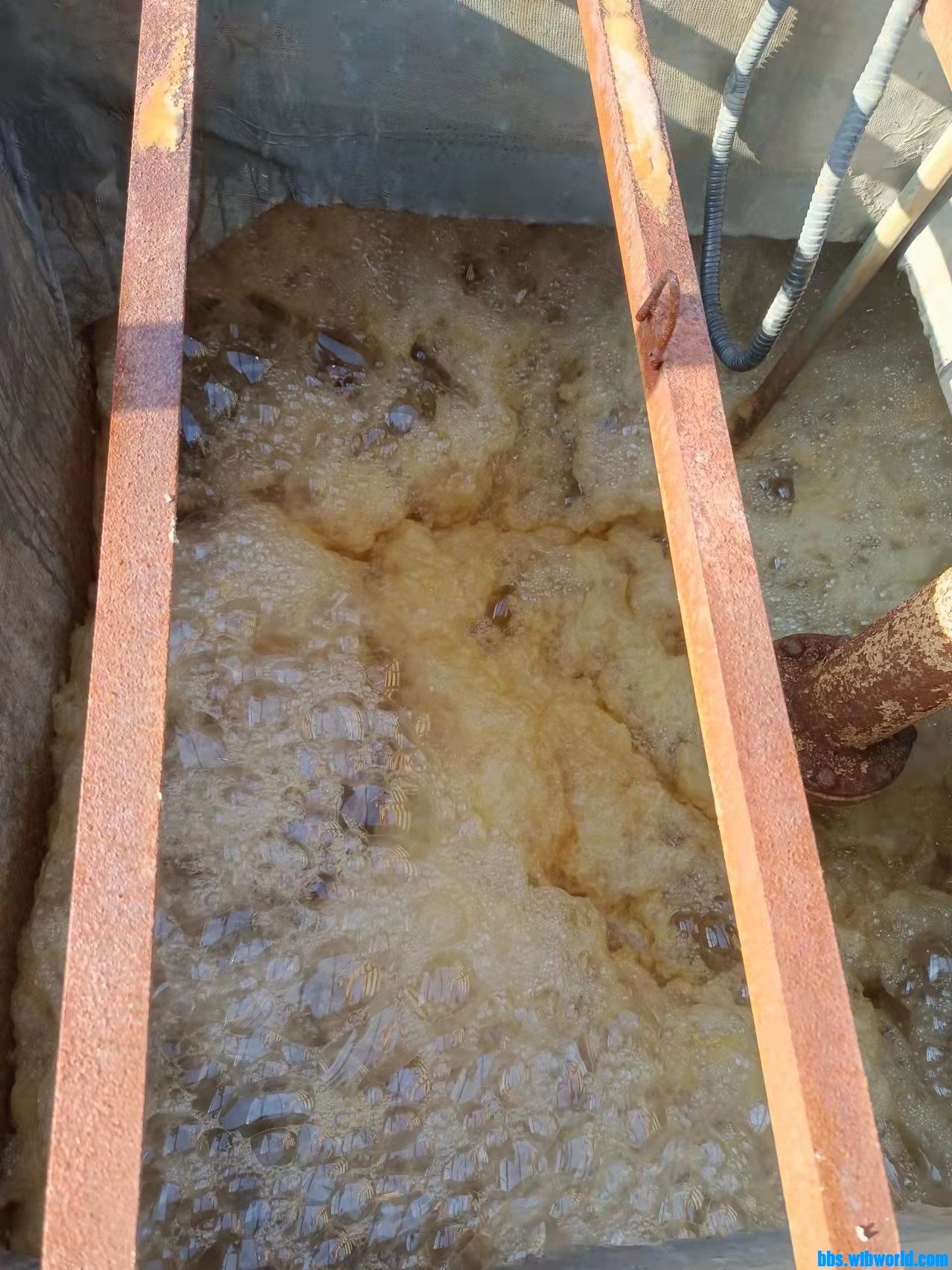 wechat_upload16465706766224acb4add17