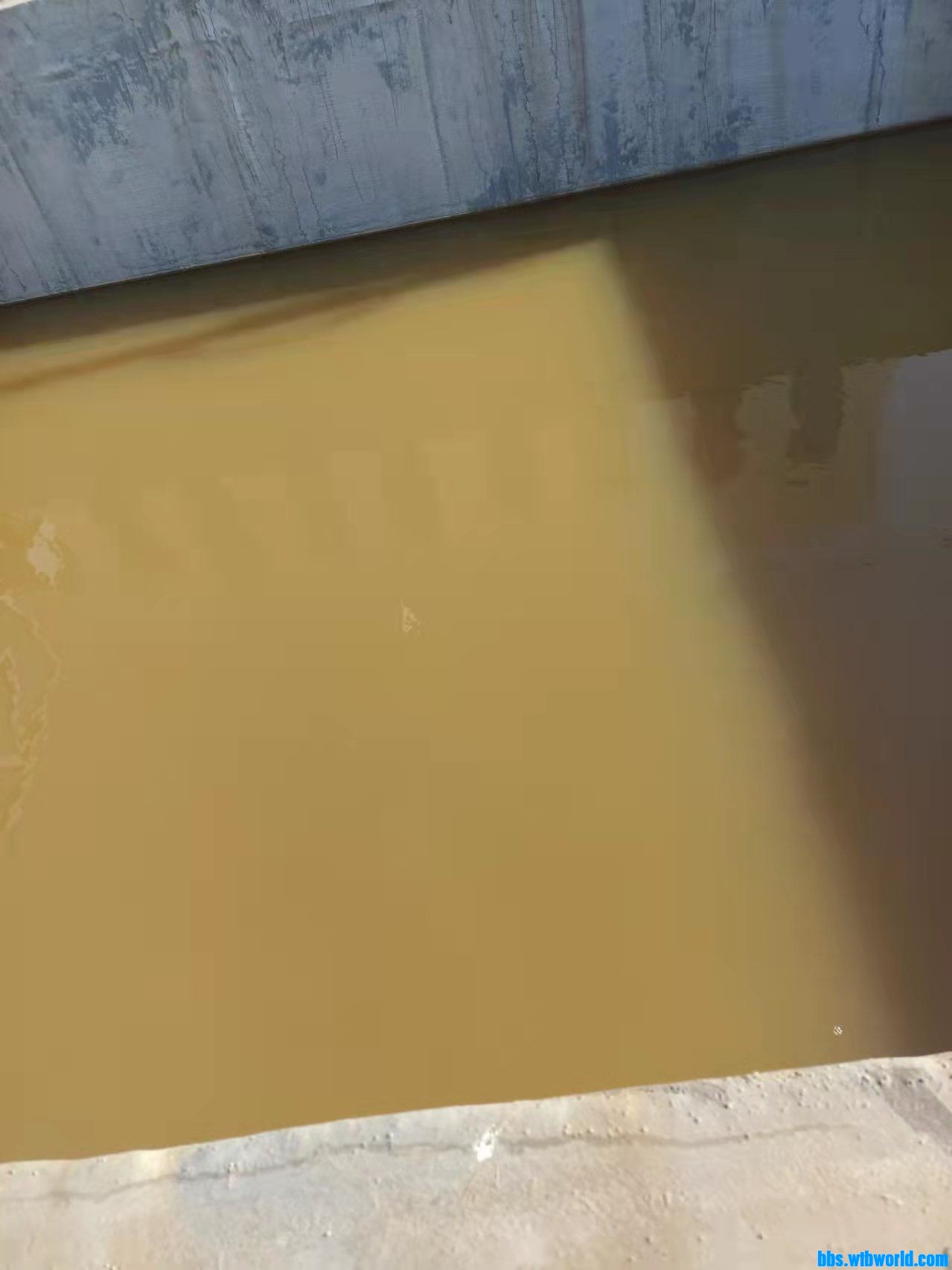 wechat_upload16465706776224acb5154f7