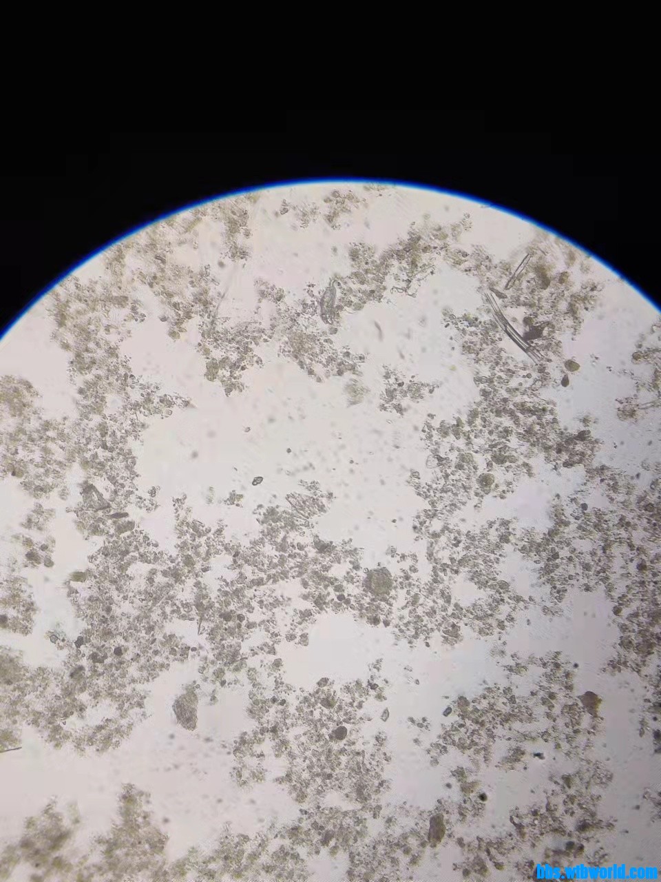 wechat_upload164663186962259bbd8b312