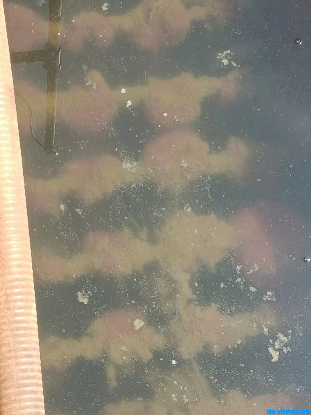 wechat_upload16466341106225a47eae37a