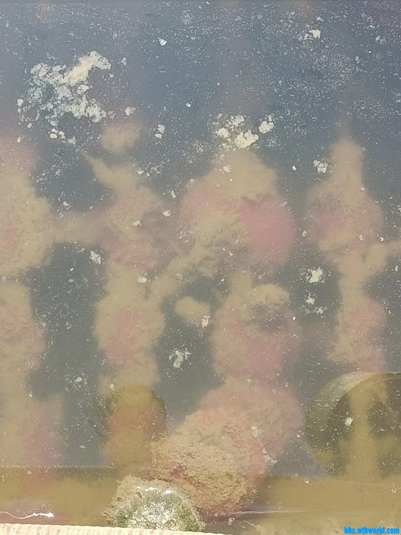 wechat_upload16466341106225a47e54aaa