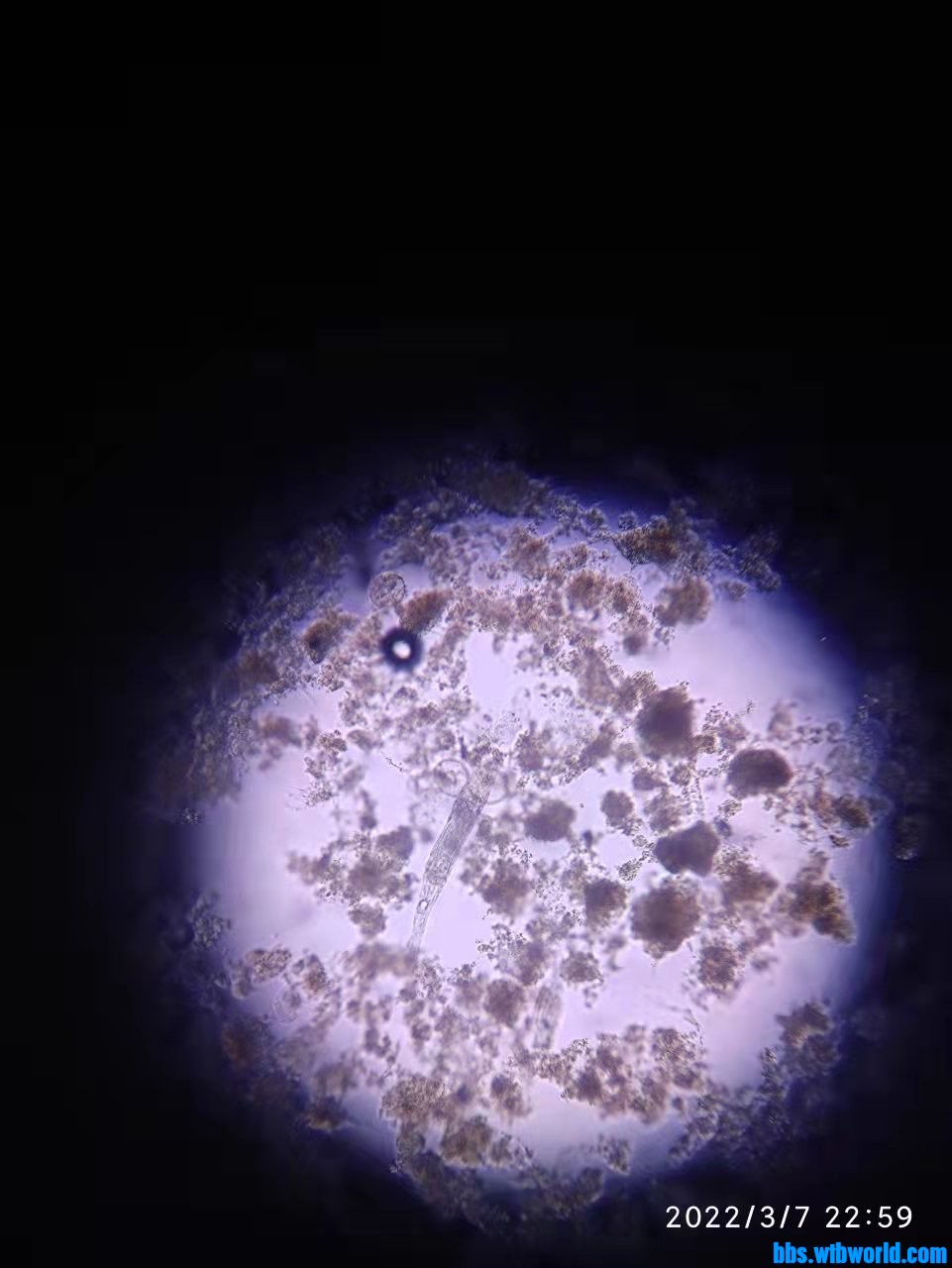 wechat_upload164666526162261e2d4ba01