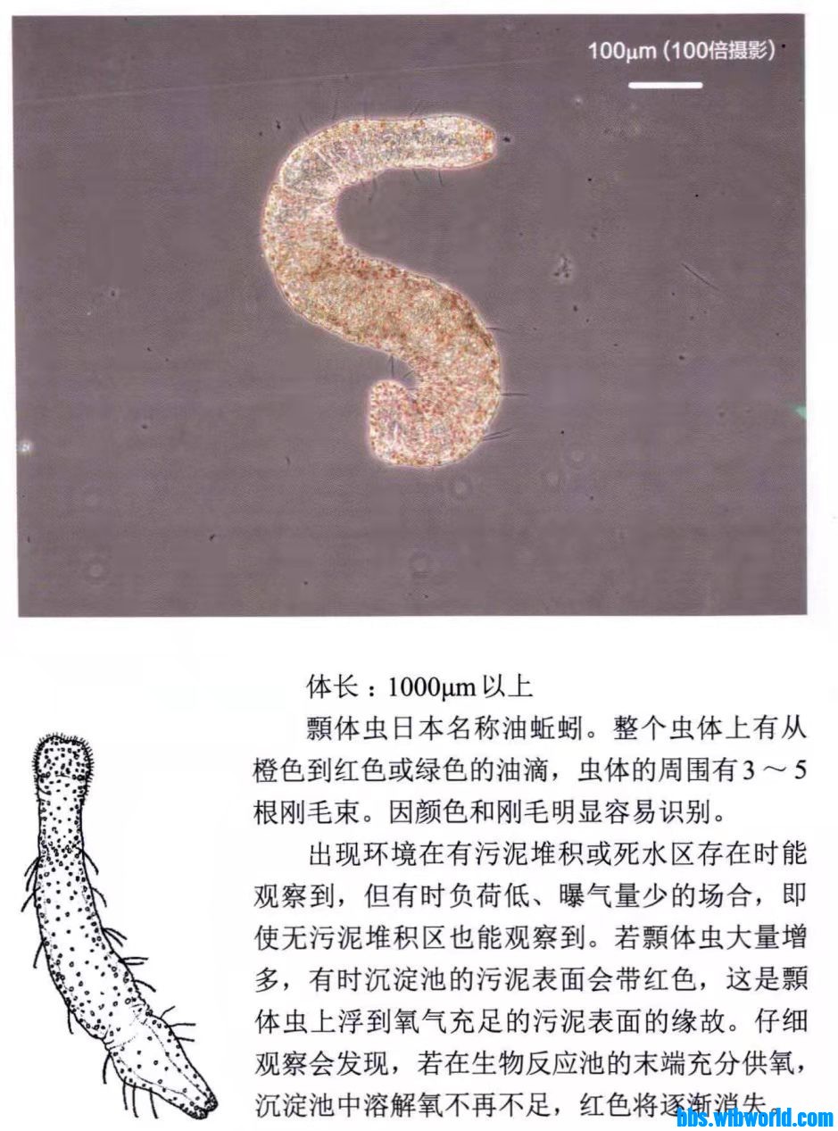 wechat_upload16467003936226a769bd317