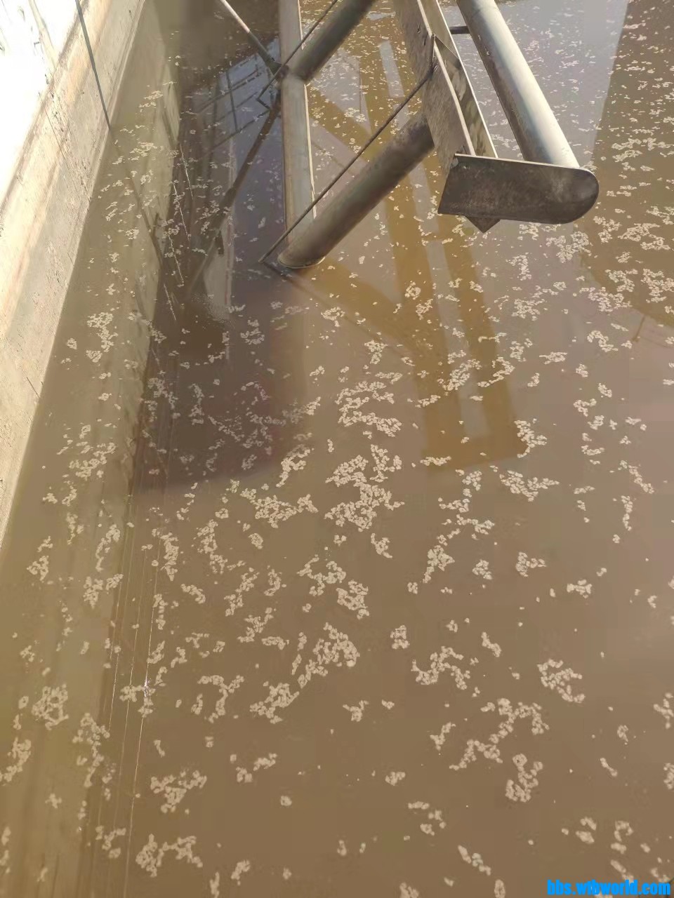 wechat_upload16467324366227249436b0c