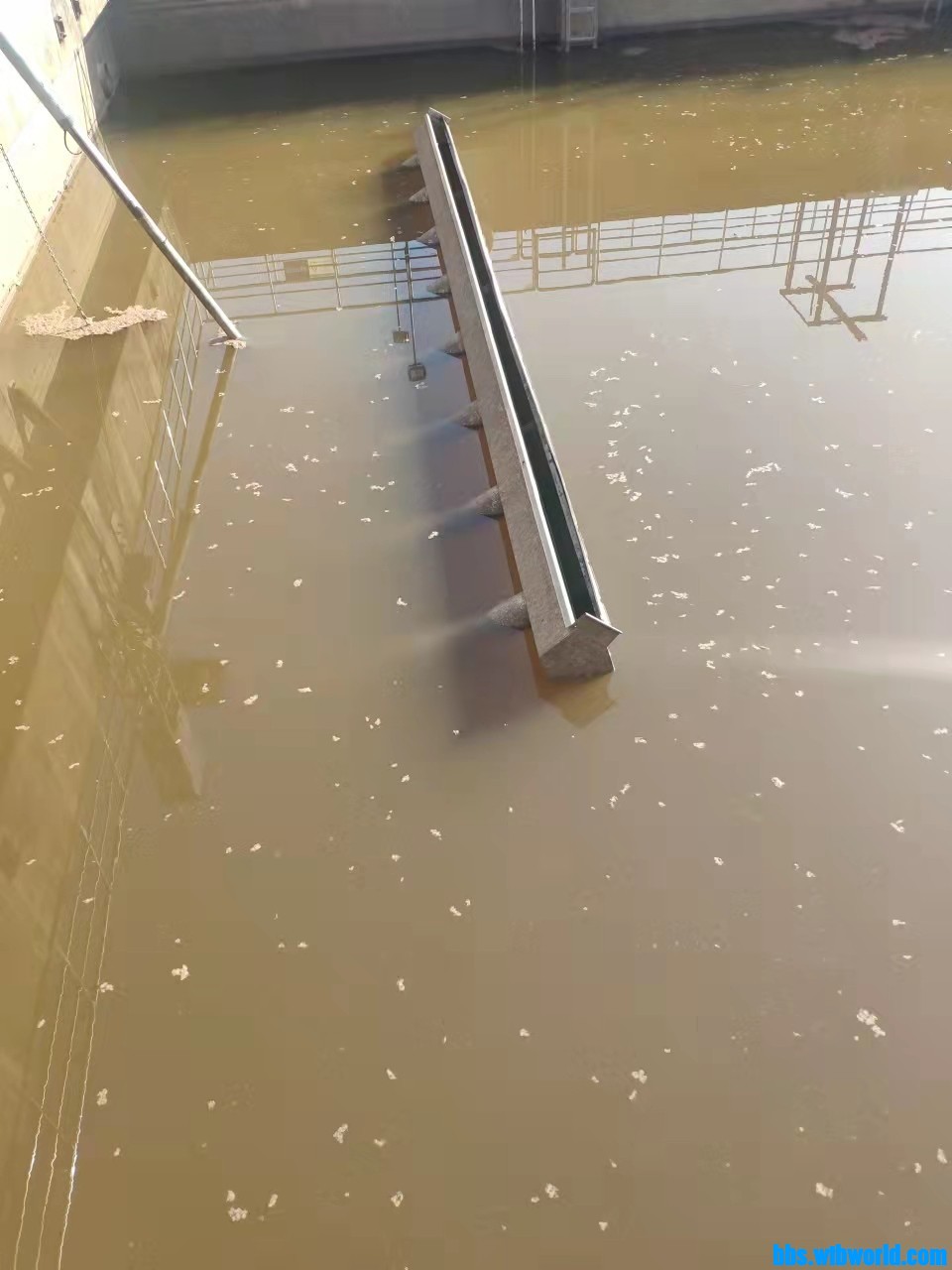 wechat_upload1646732771622725e3796ca