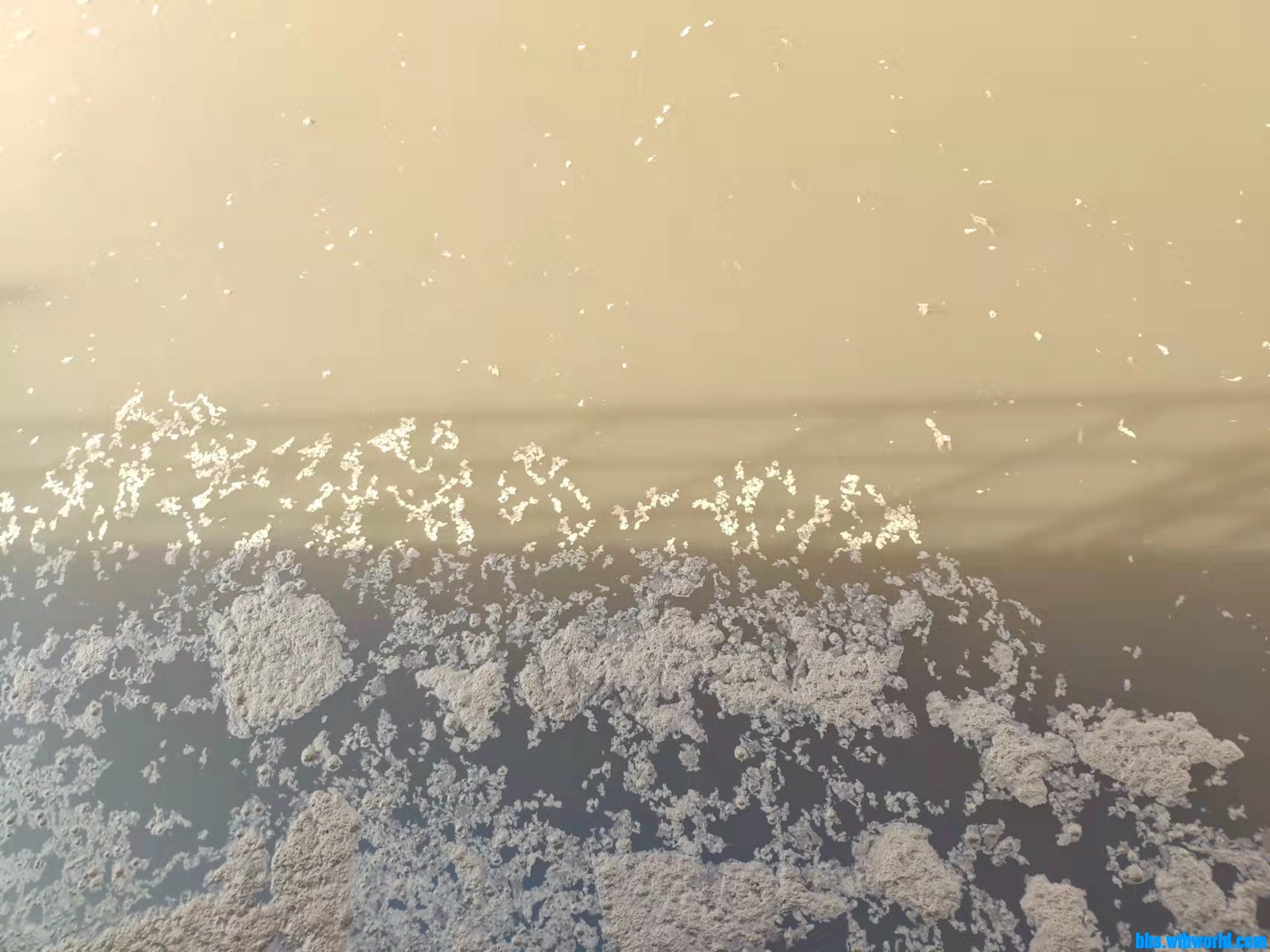 wechat_upload1646732772622725e40ec20