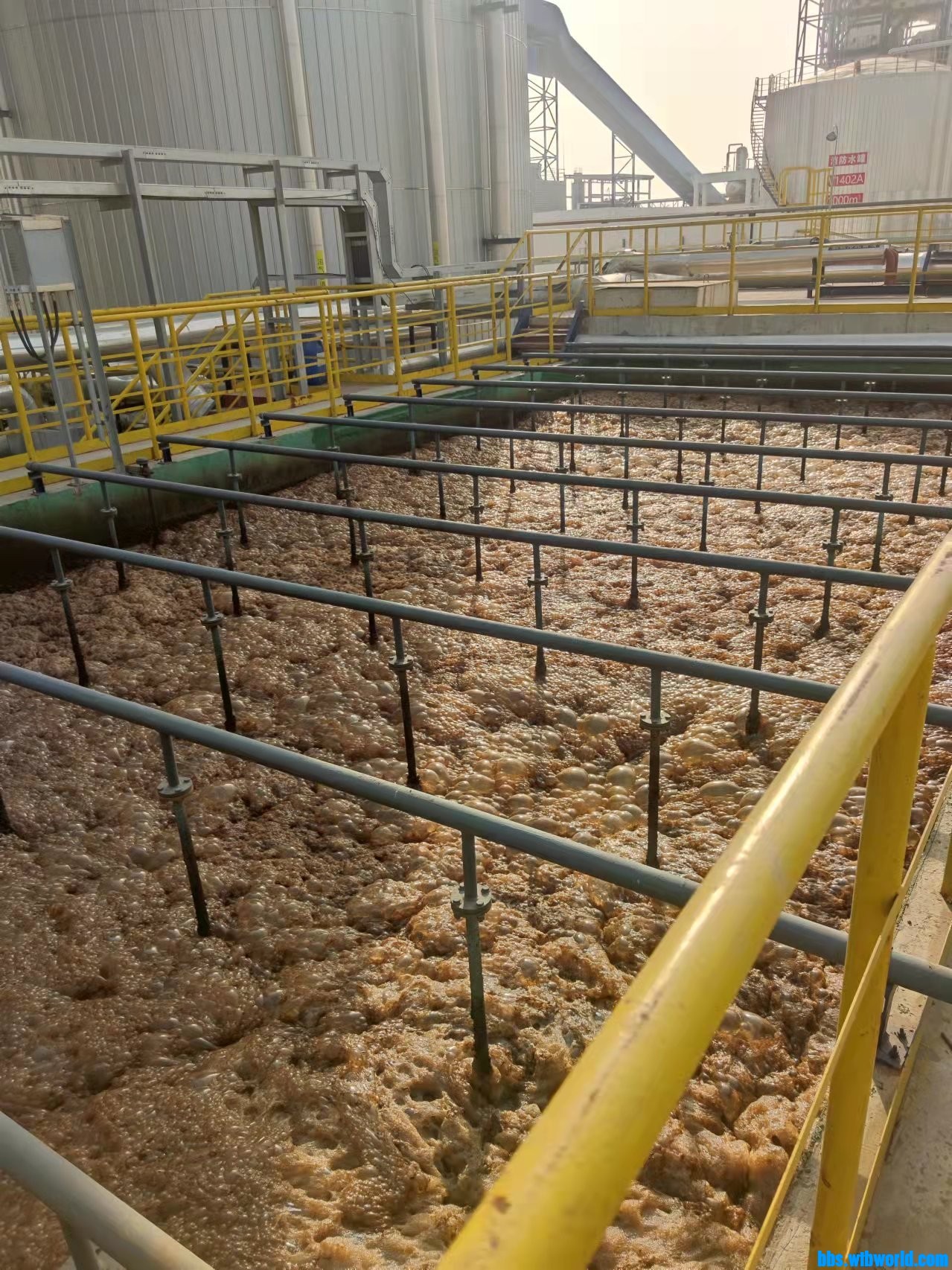 wechat_upload164673904562273e65a946c