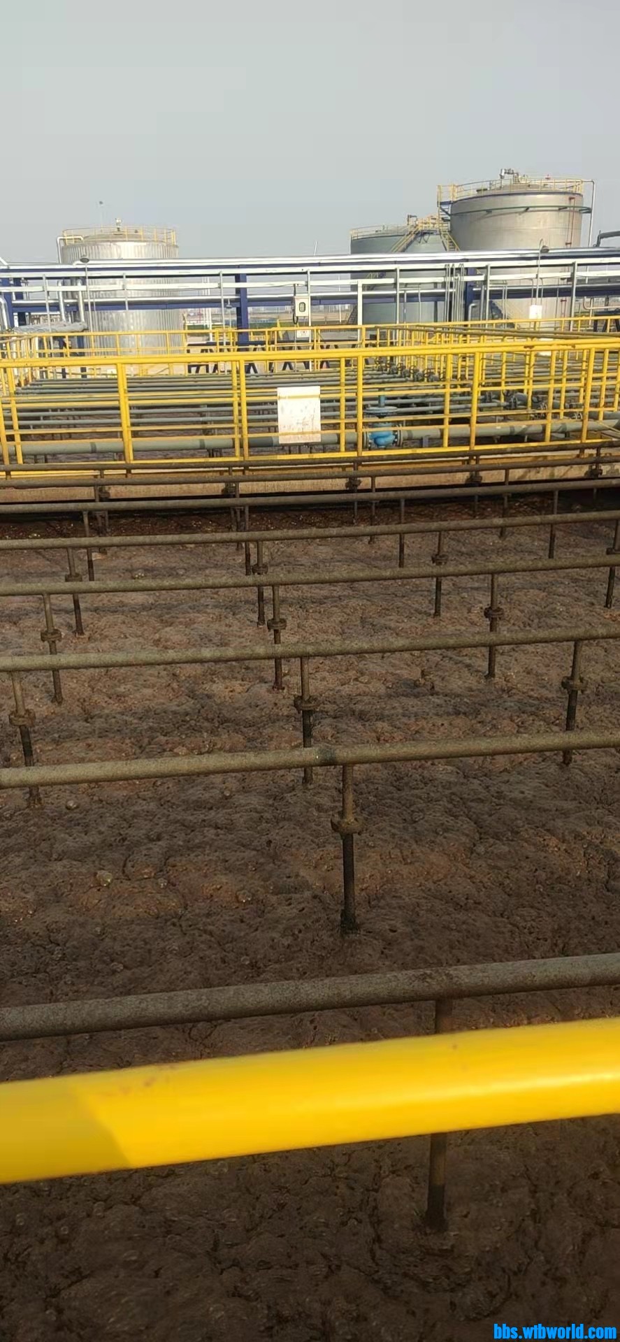 wechat_upload164673904662273e6697d24