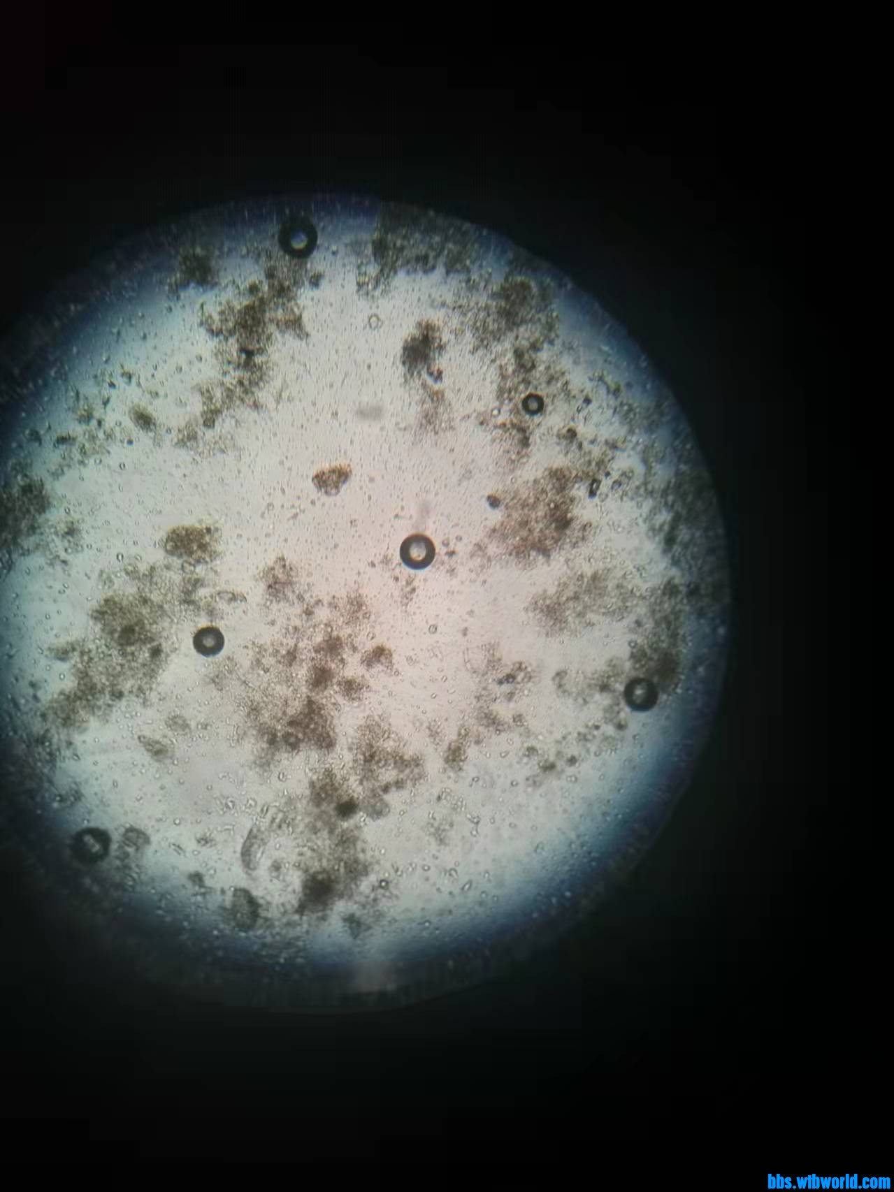 wechat_upload1646975664622adab045211