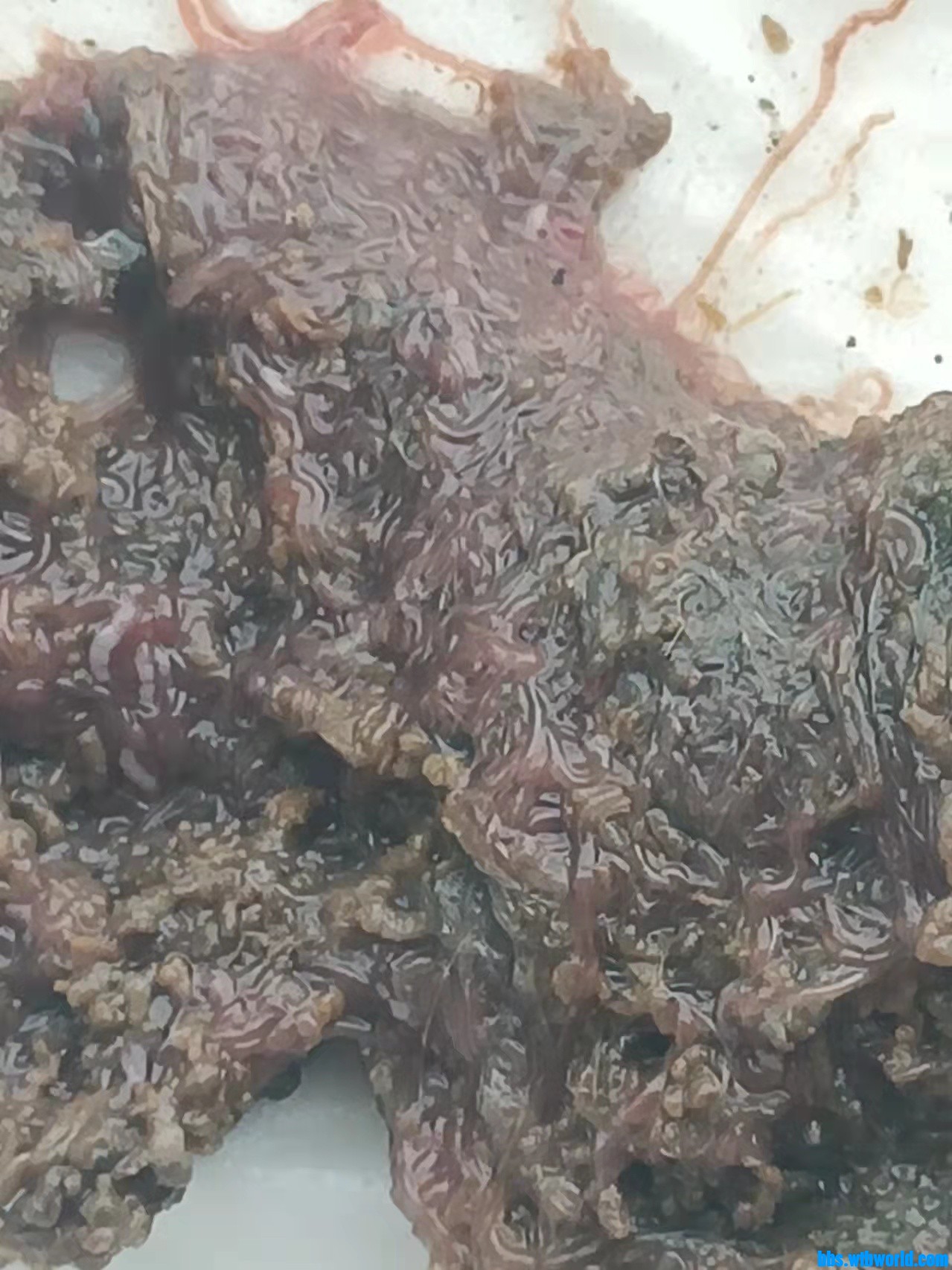 wechat_upload1646977303622ae11799692